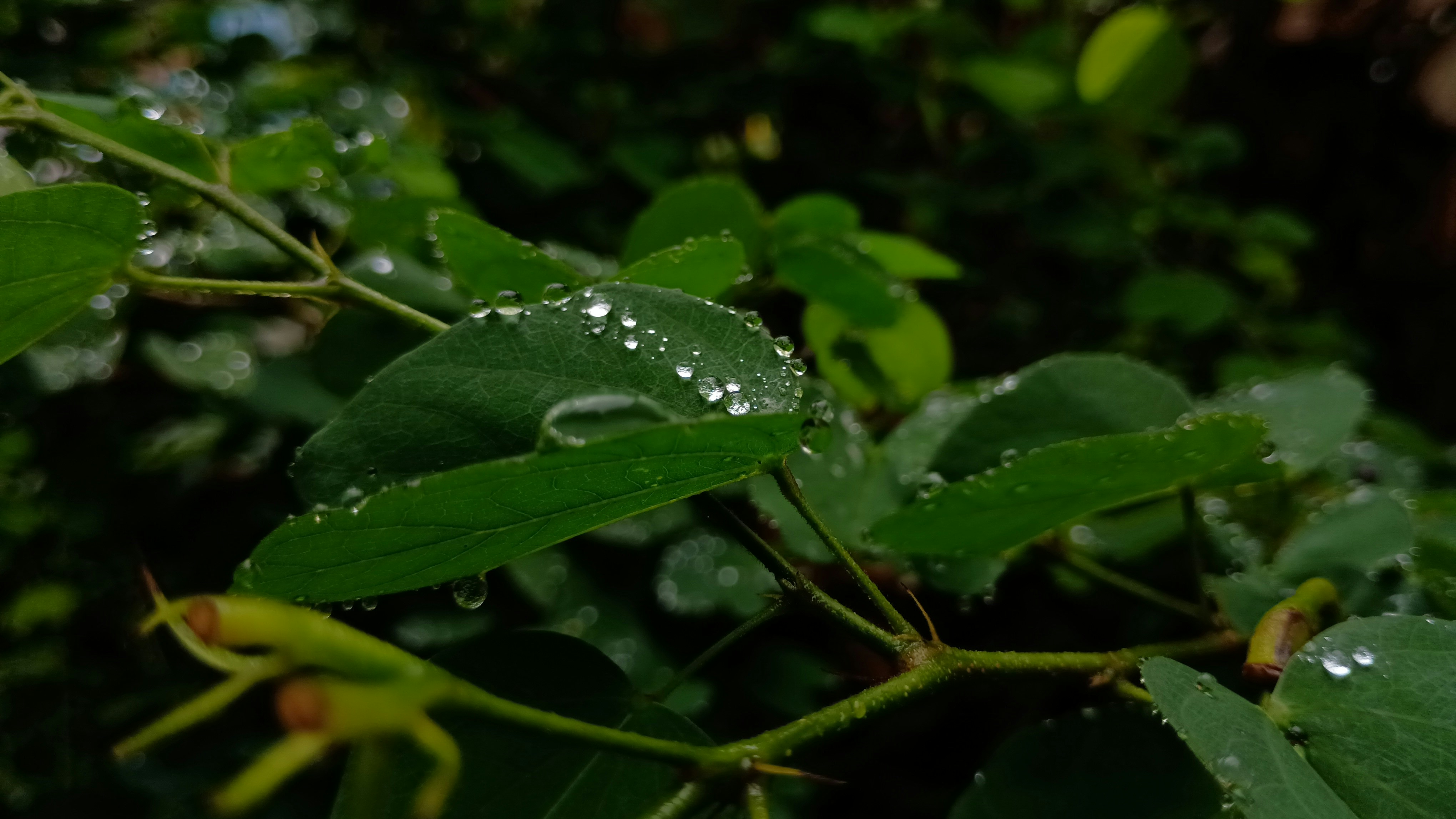 Photo by gravitystudios1986