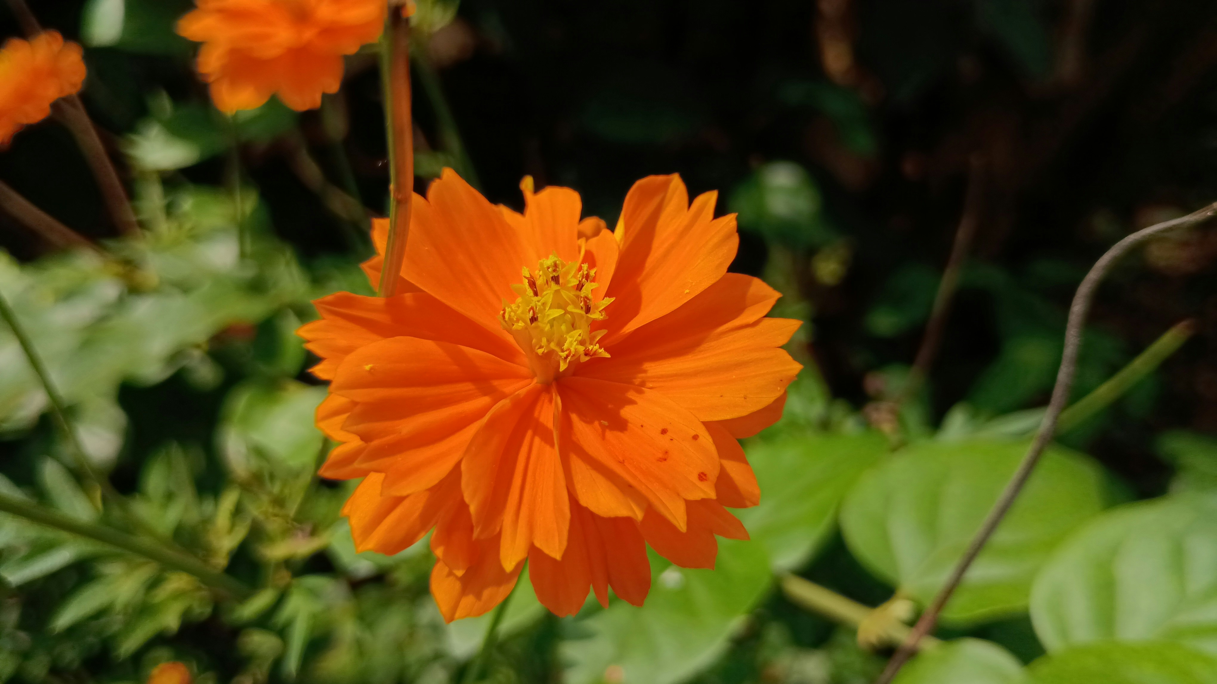 Photo by gravitystudios1986