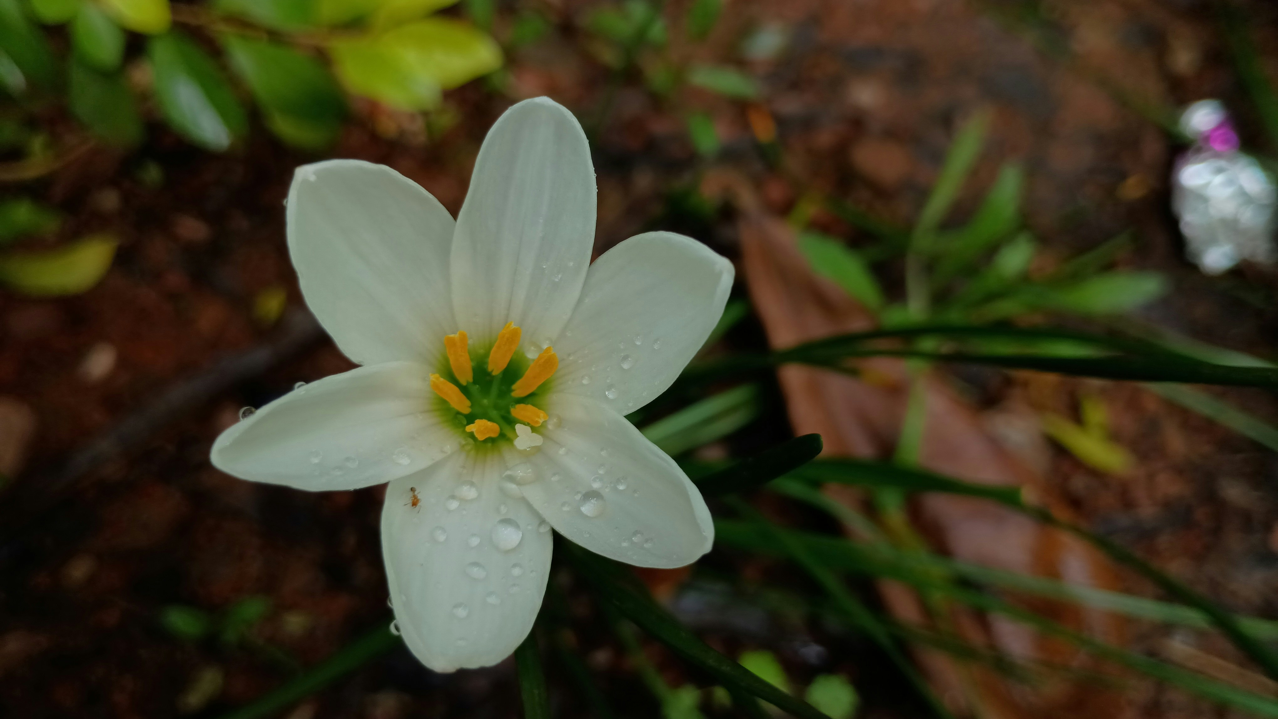 Photo by gravitystudios1986