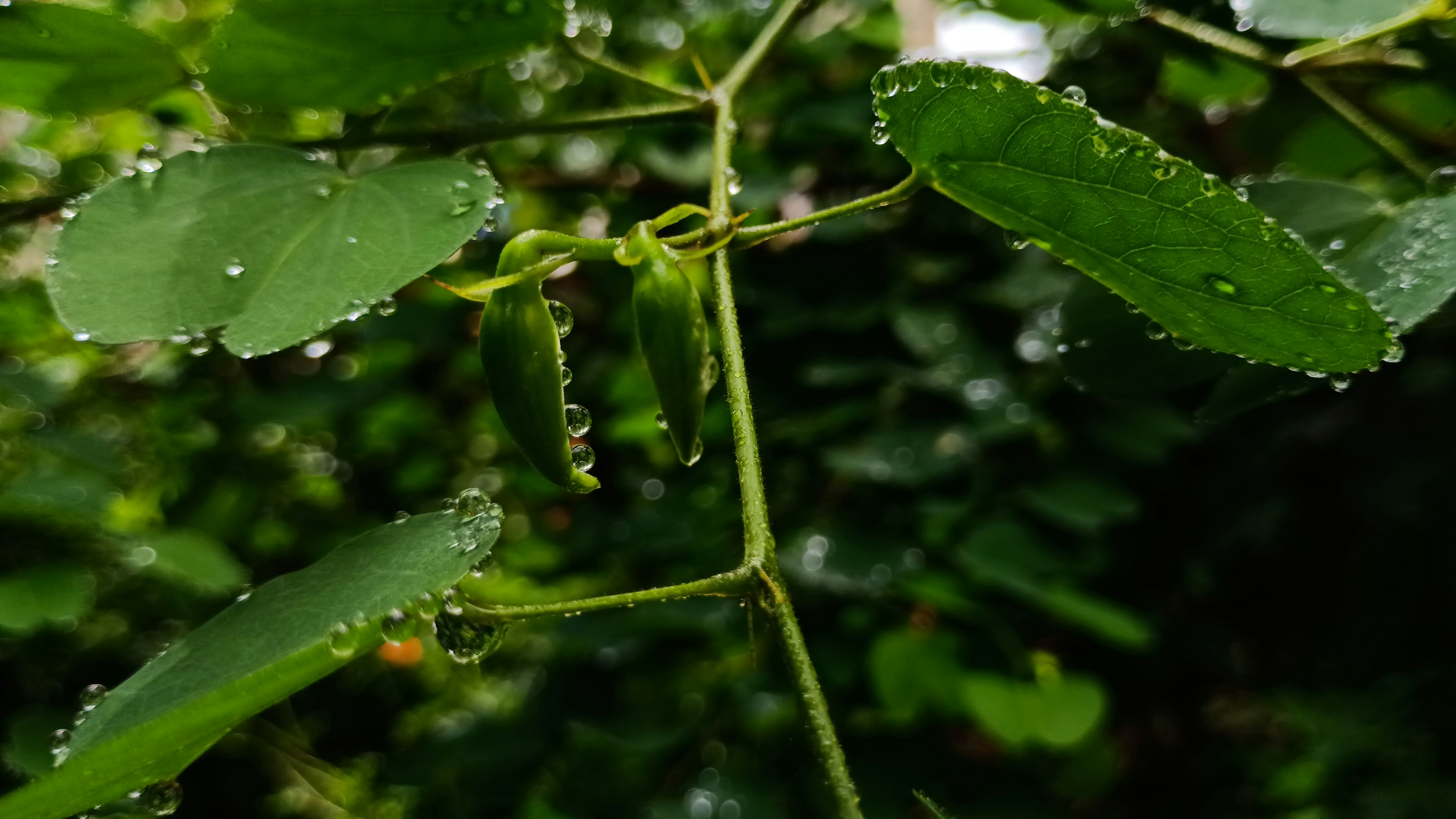 Photo by gravitystudios1986