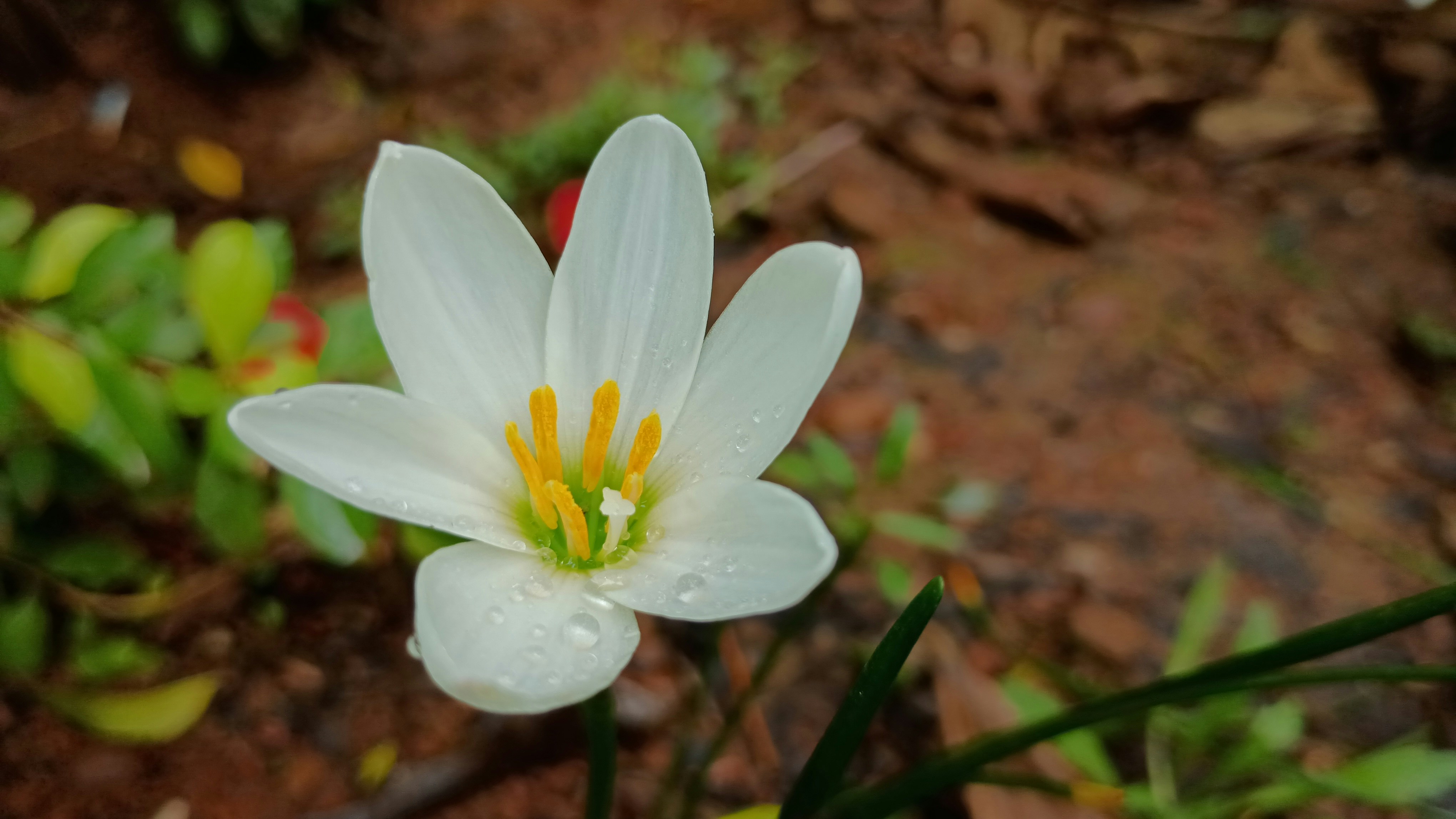 Photo by gravitystudios1986