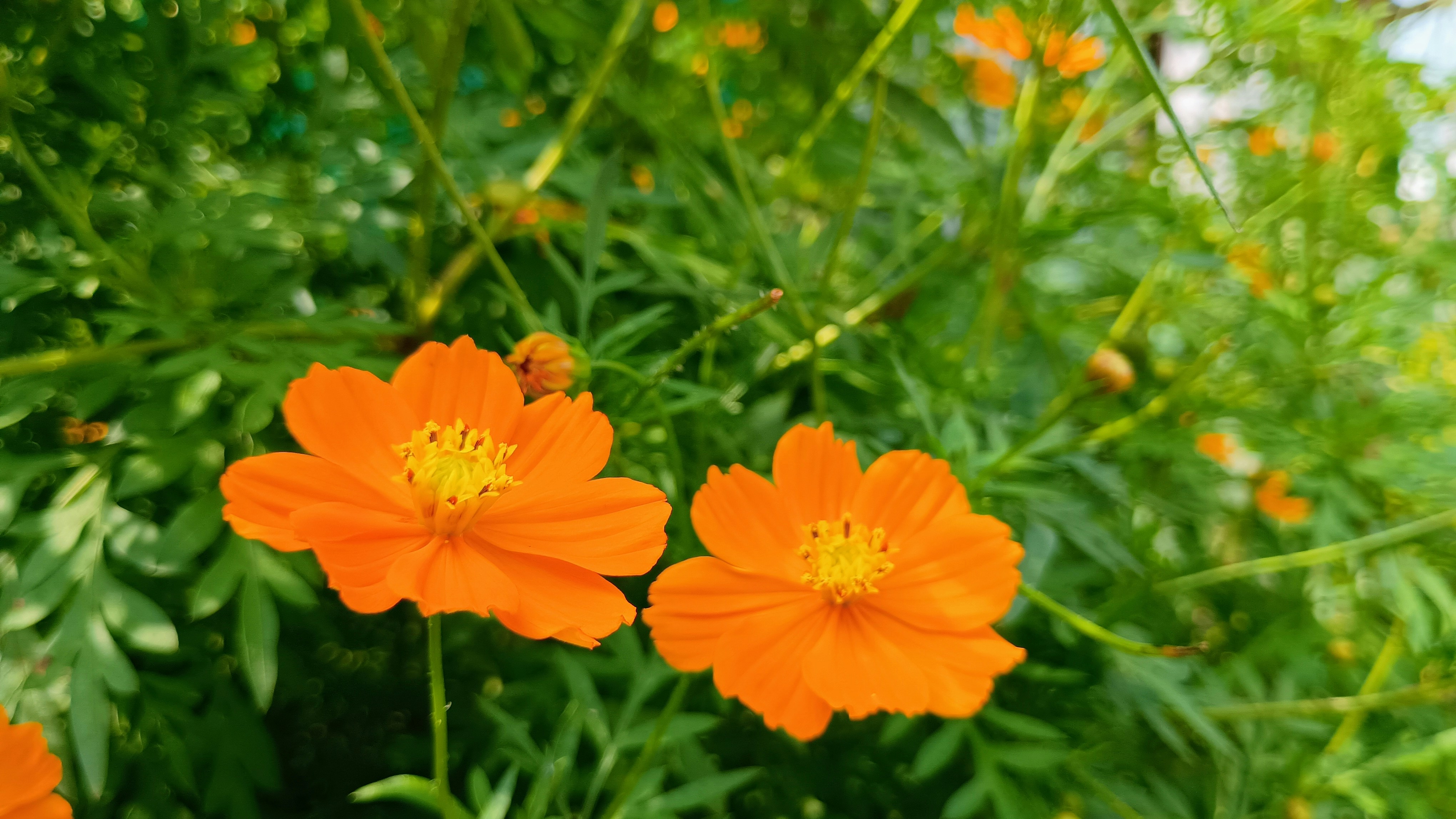 Photo by gravitystudios1986