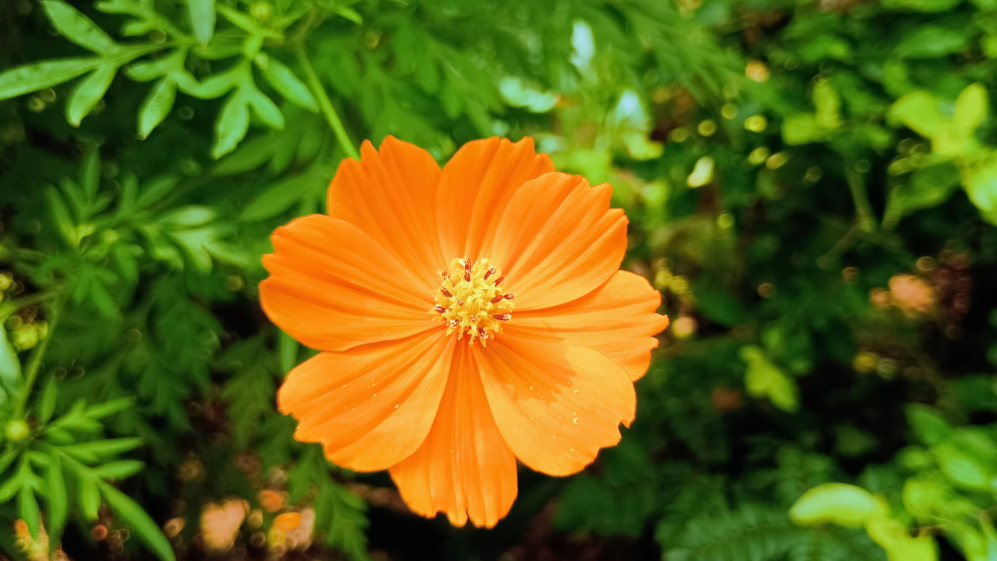 Photo by gravitystudios1986