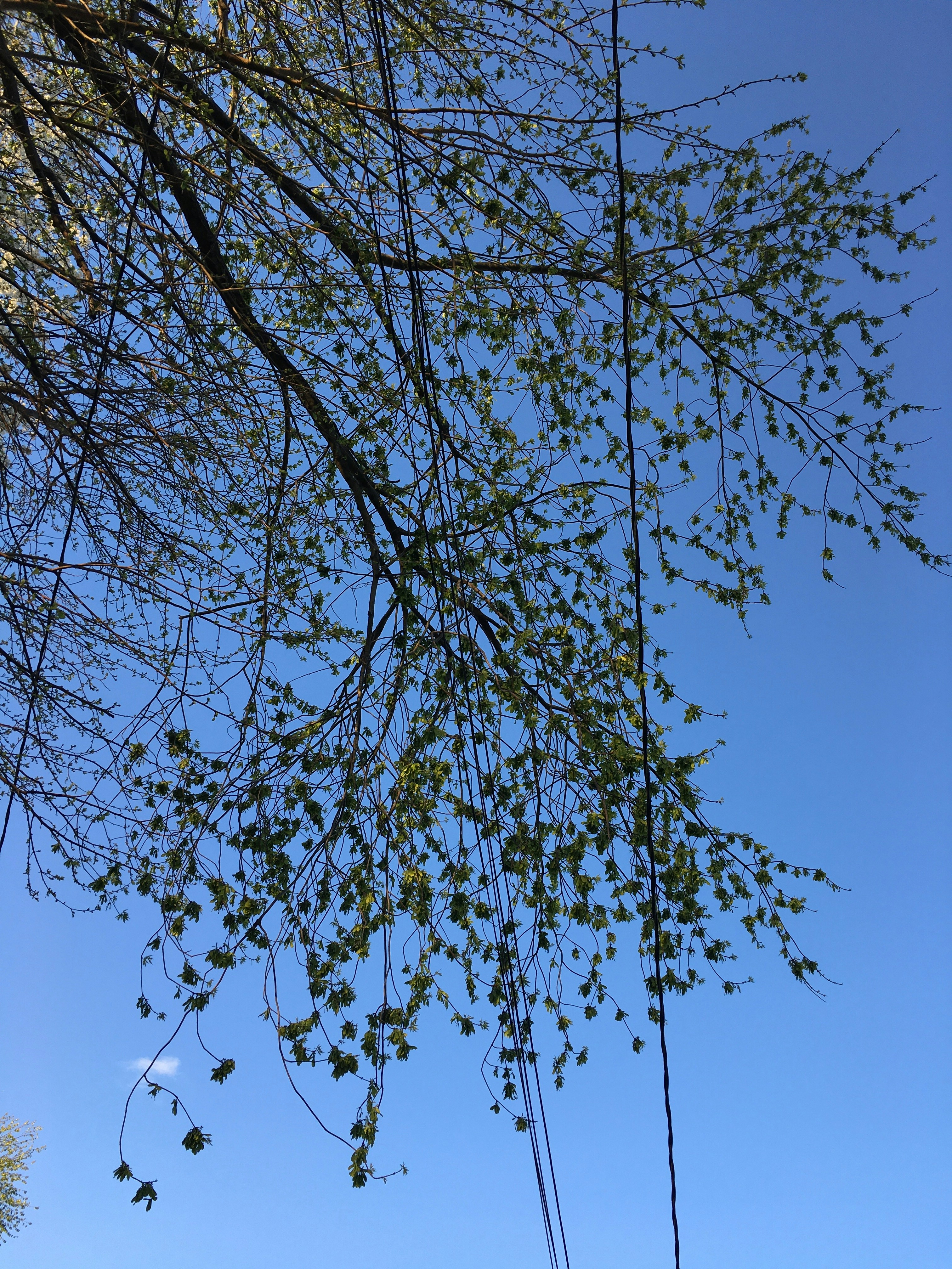 Photo by whooshwishwind