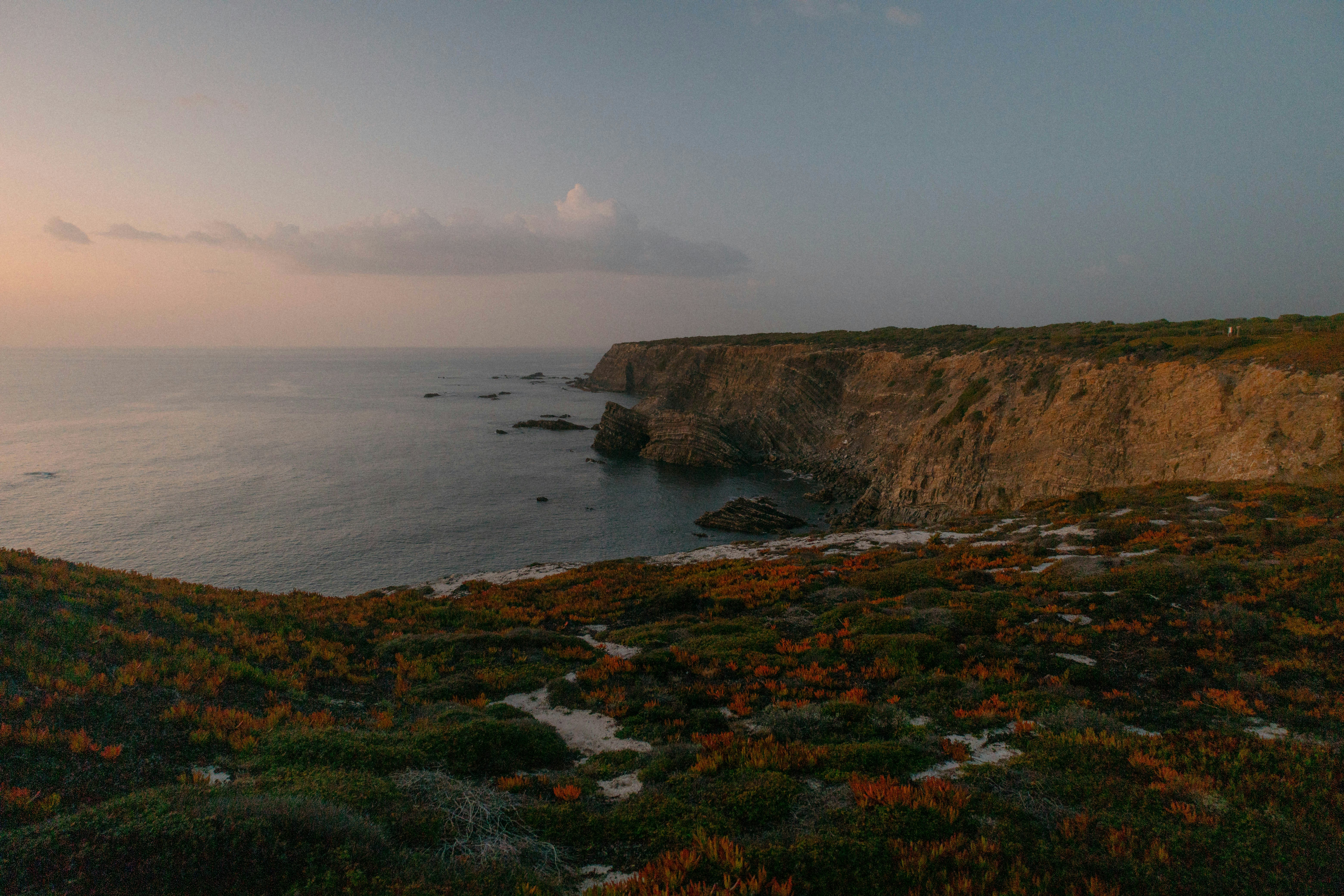 Photo by marianacbras