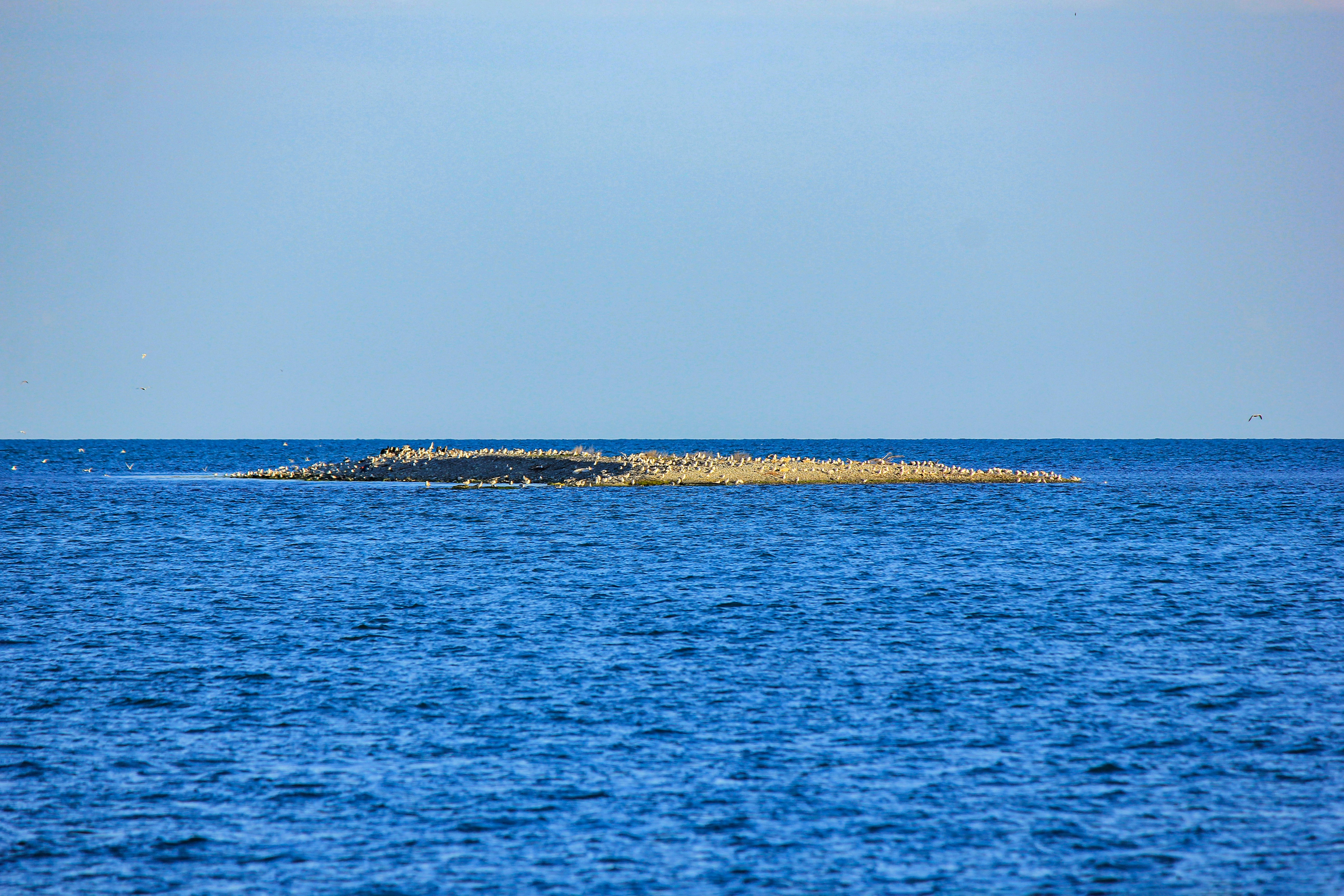 Photo by stepan_konev