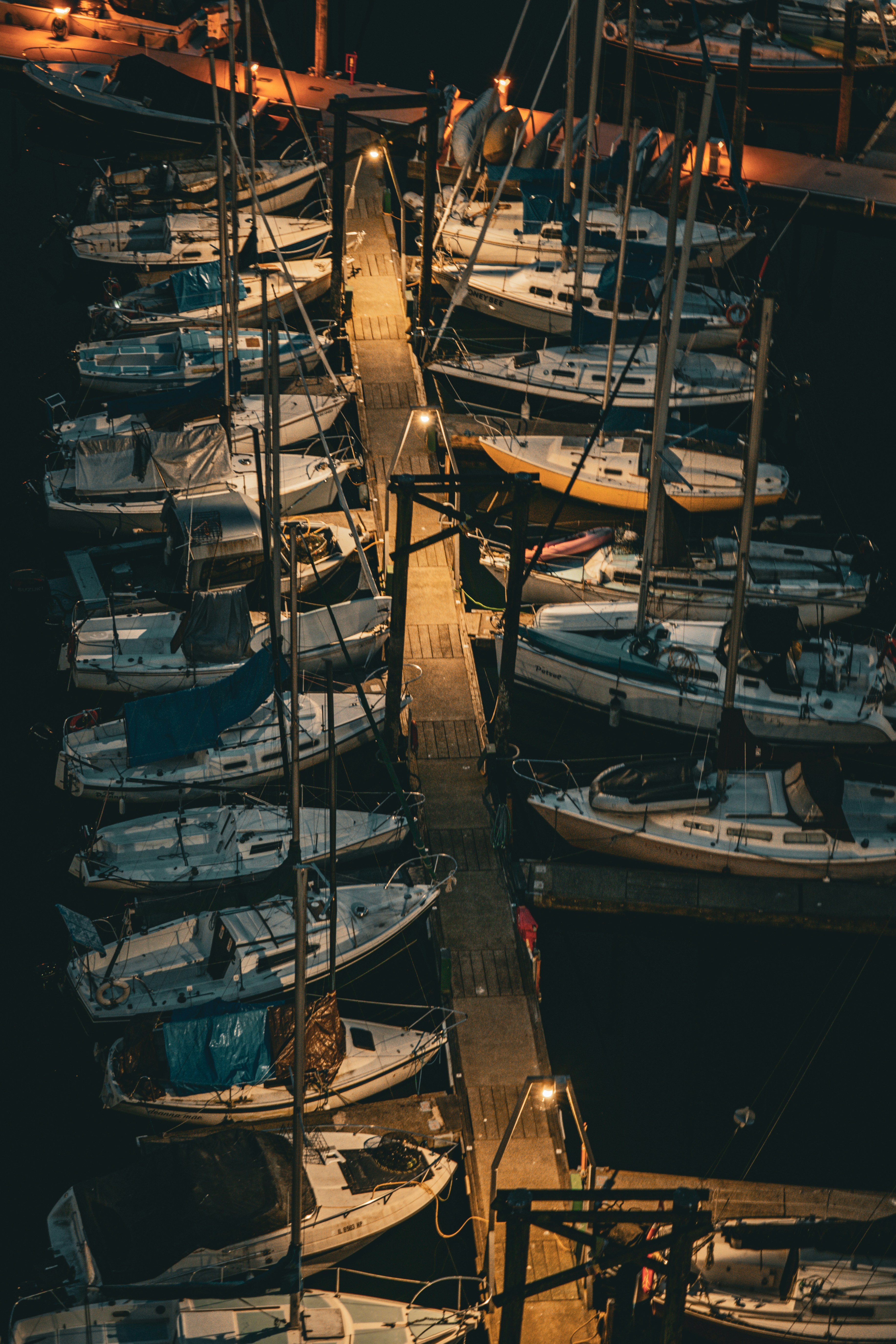 Photo by kayvanmazhar