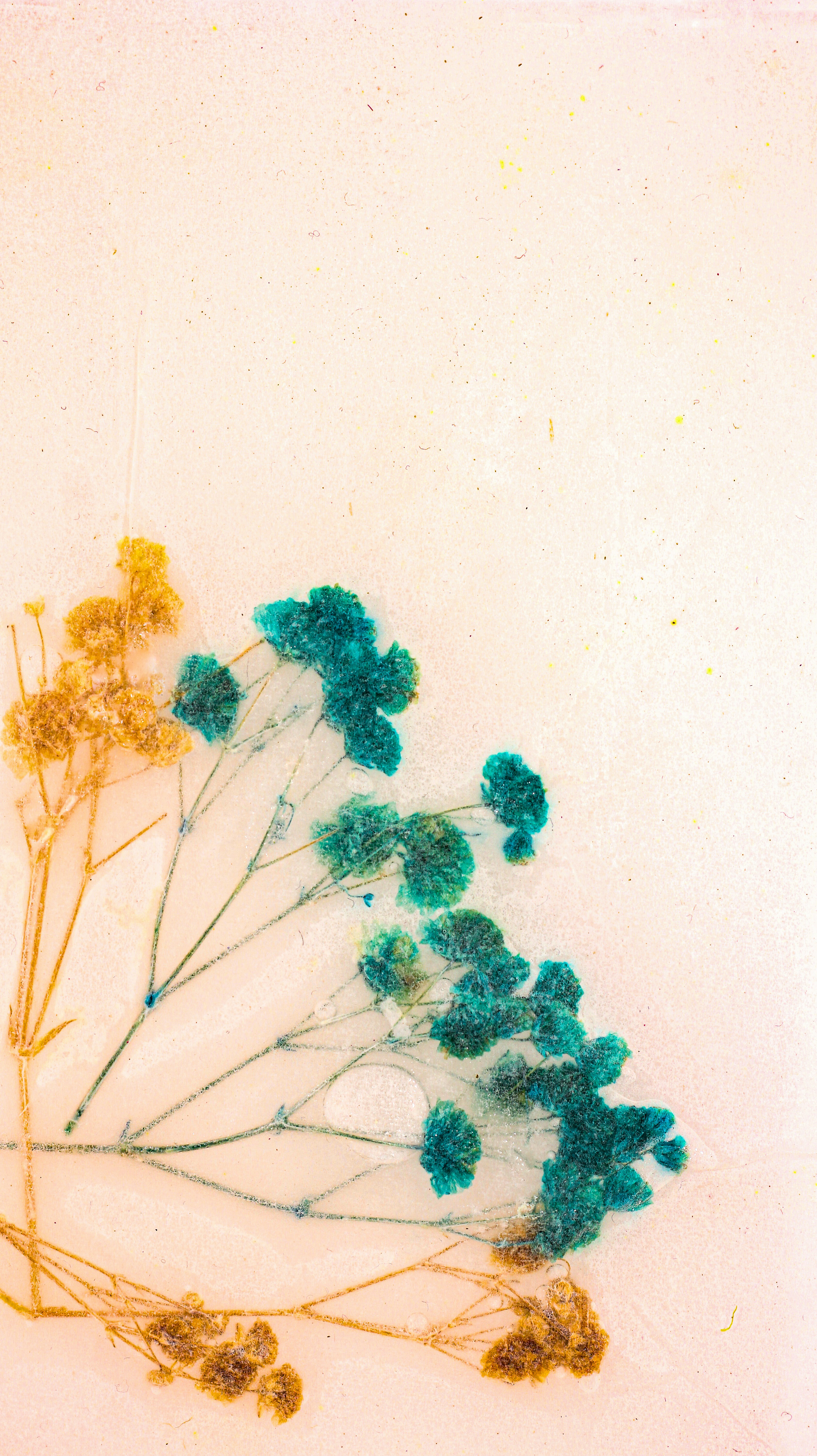 Photo by susan_wilkinson