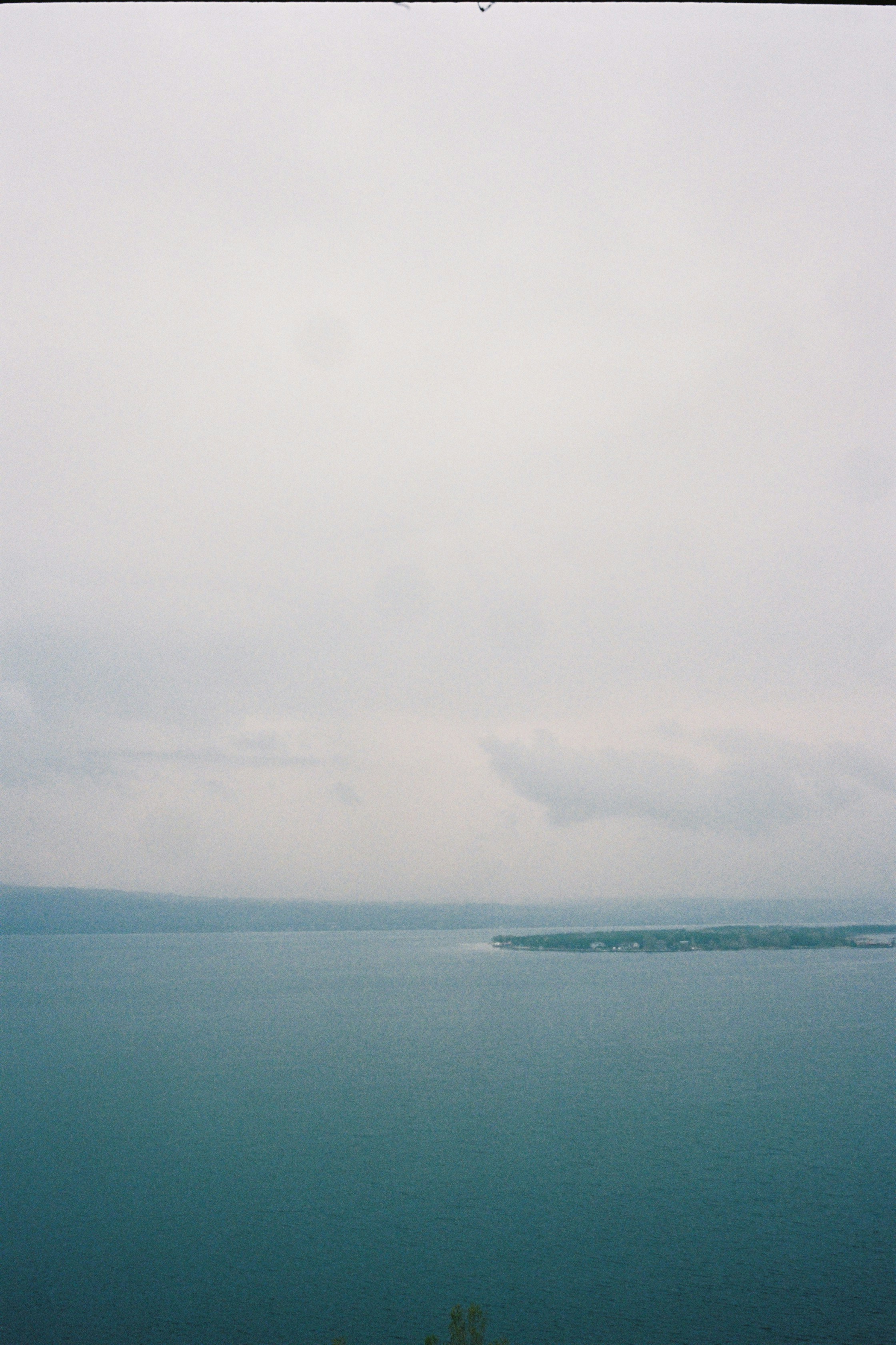 Photo by artyshena