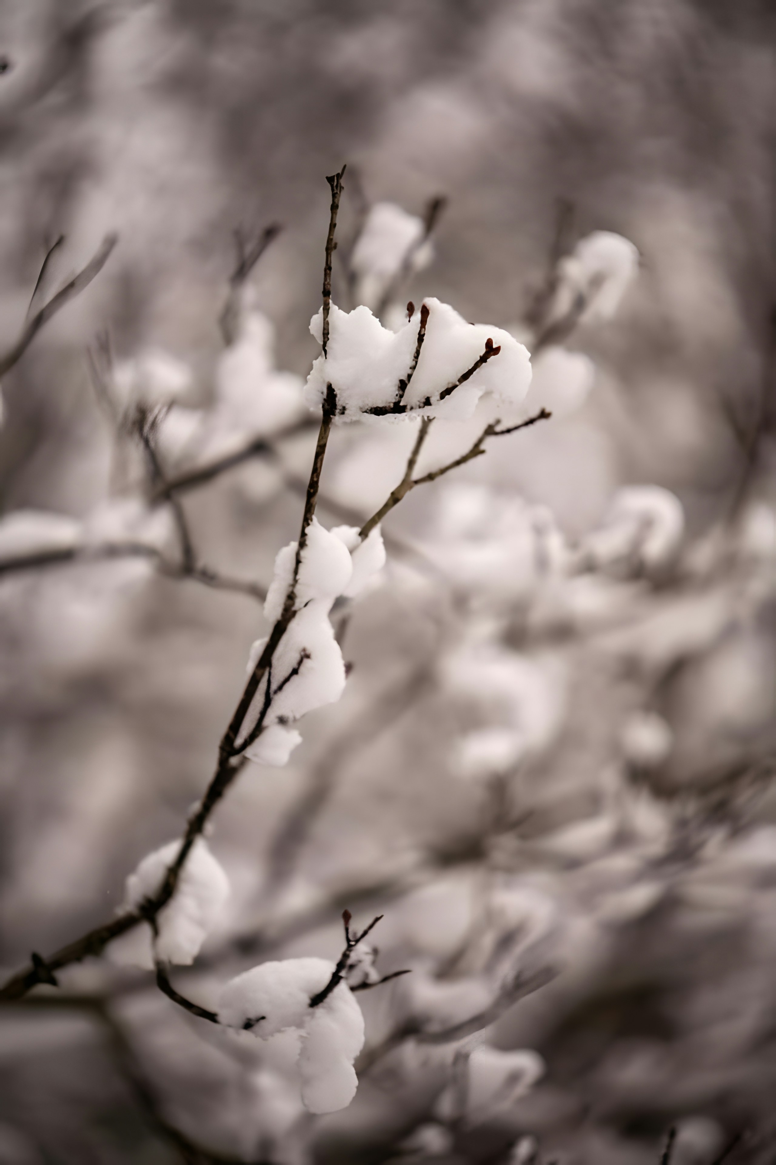 Photo by damiencampbell