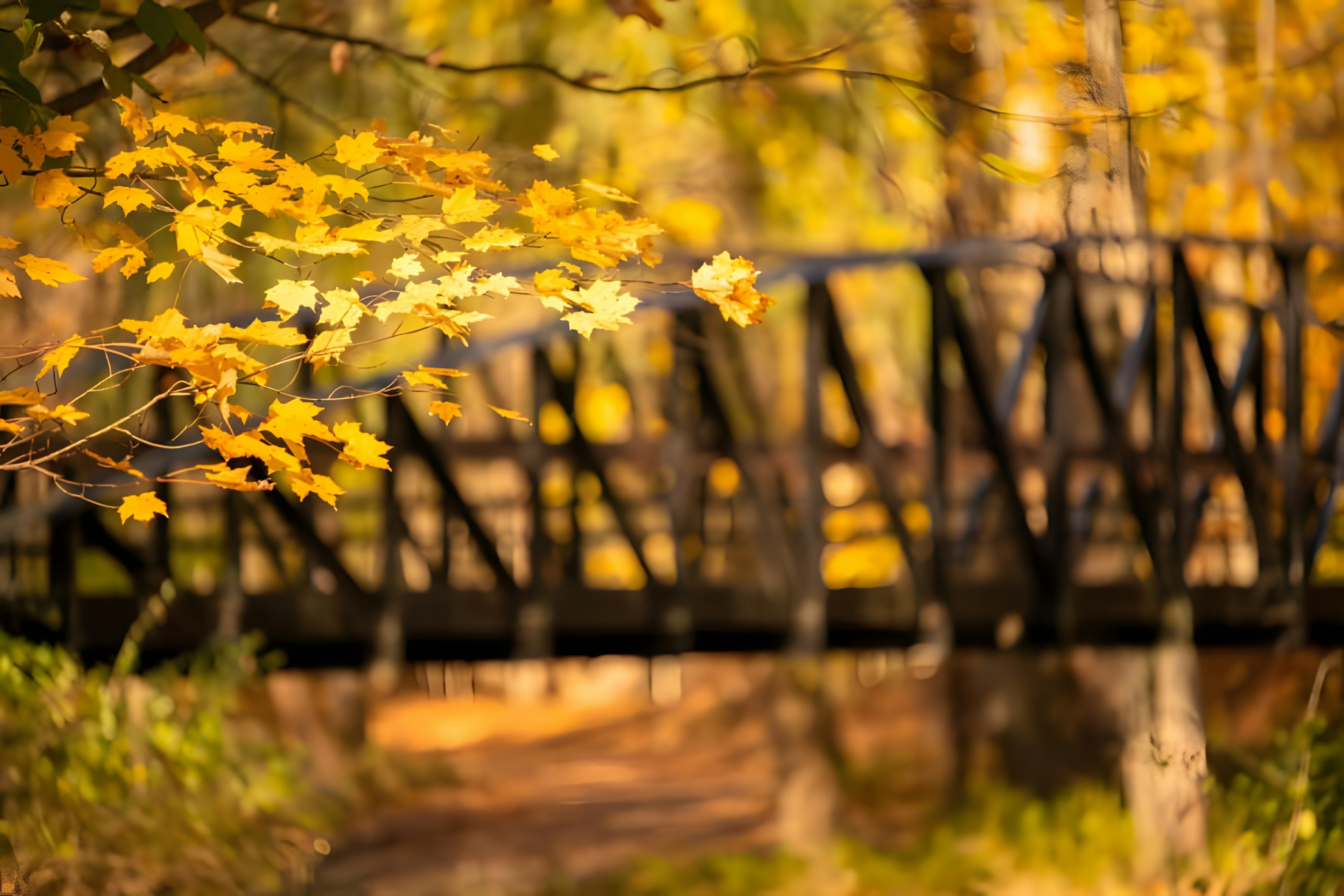 Wooden bridge over a small stream in autumn