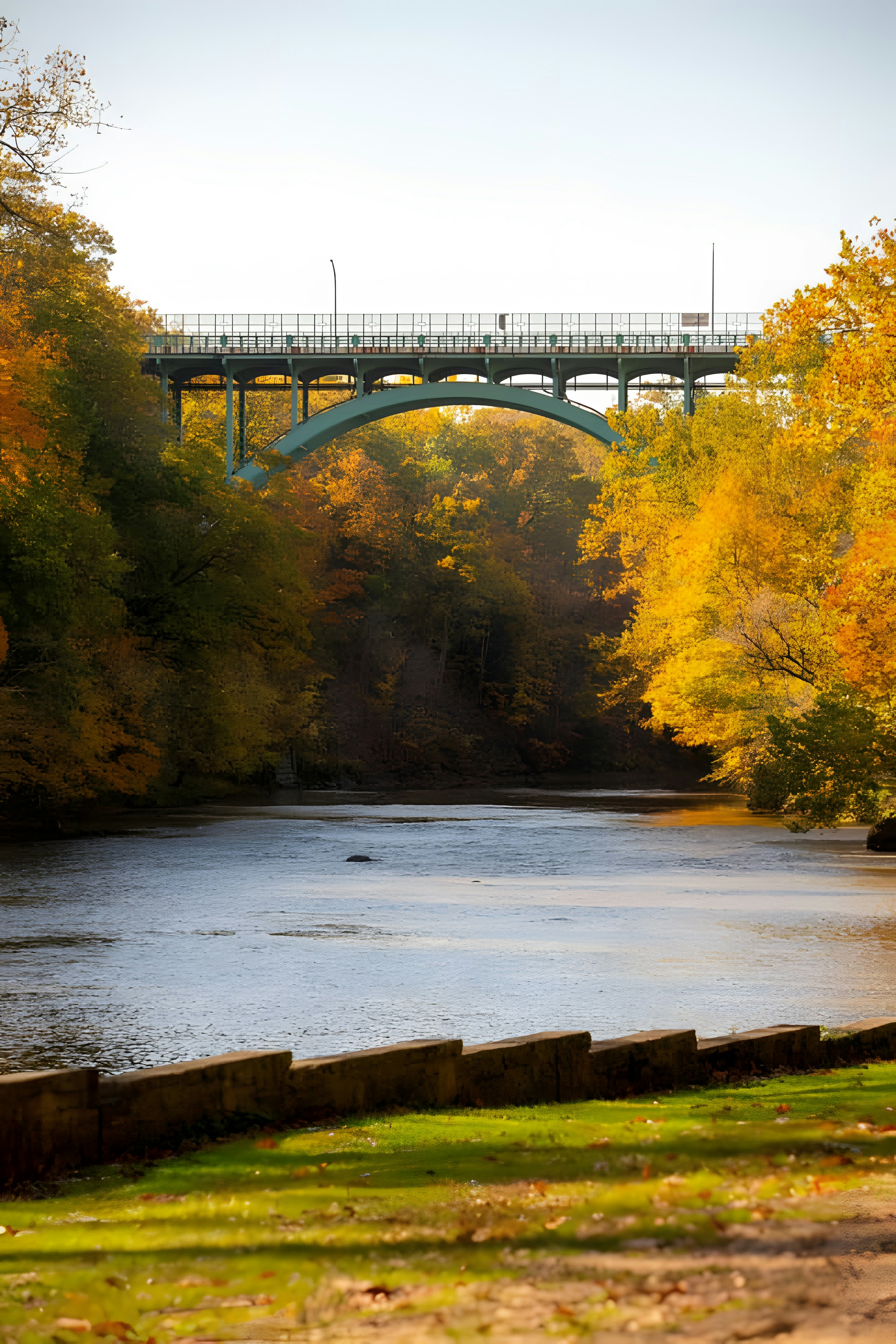 Photo by damiencampbell