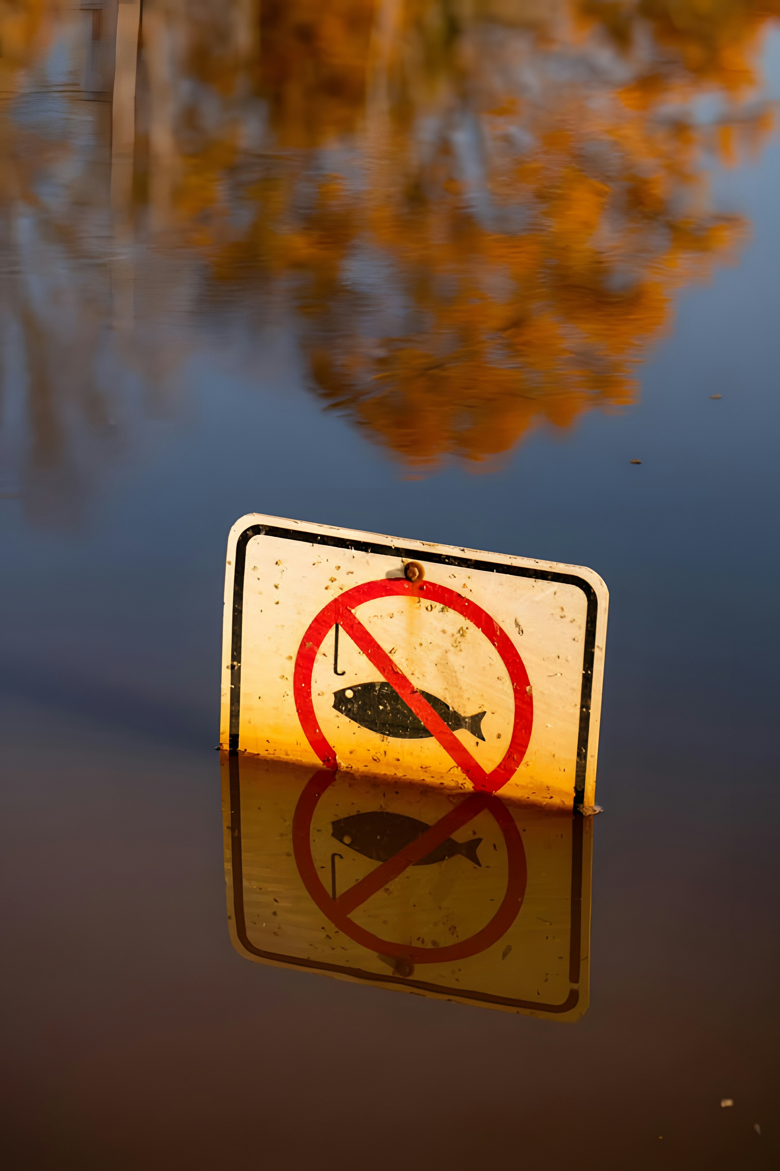 Photo by damiencampbell