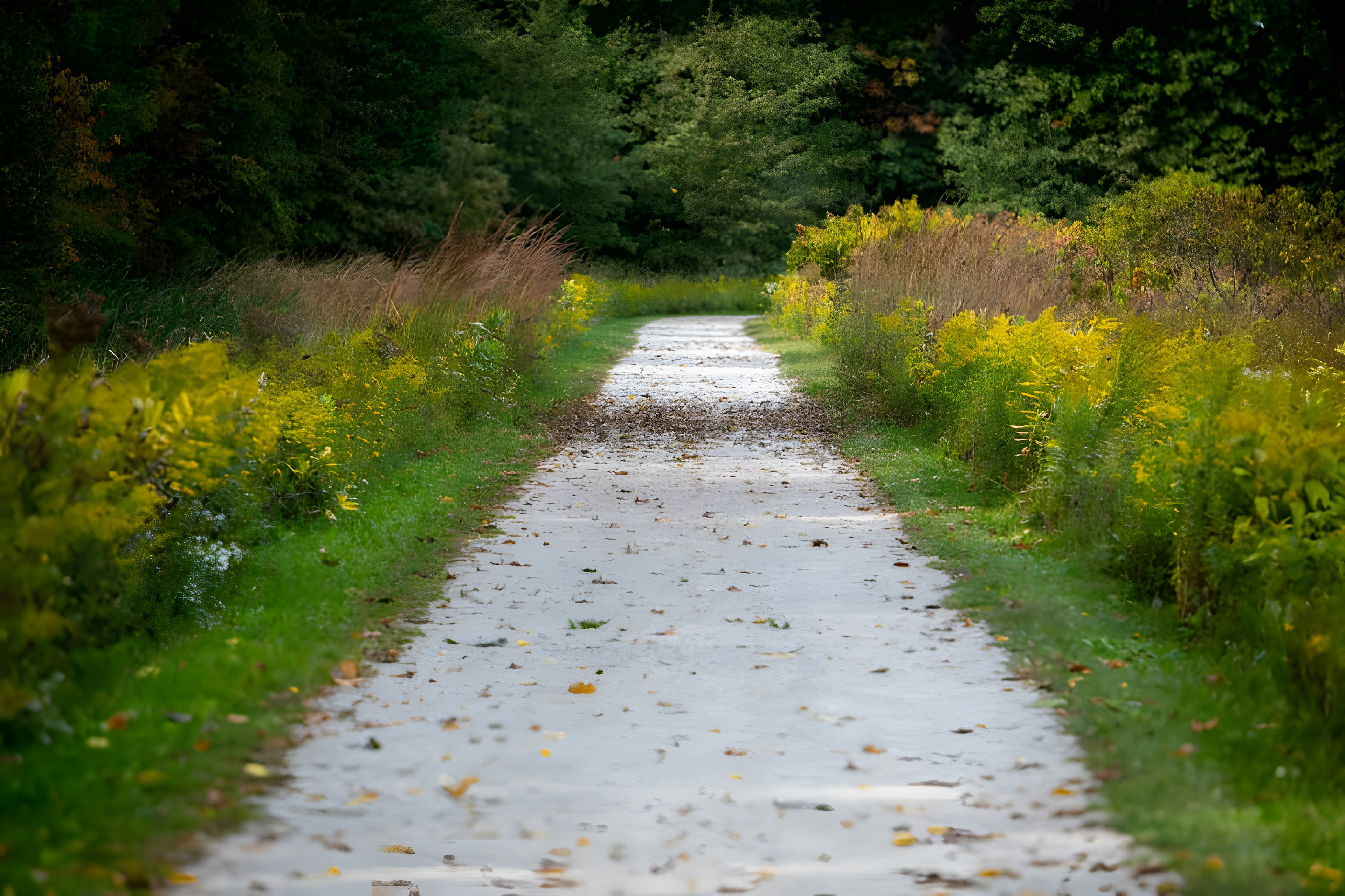 Photo by damiencampbell