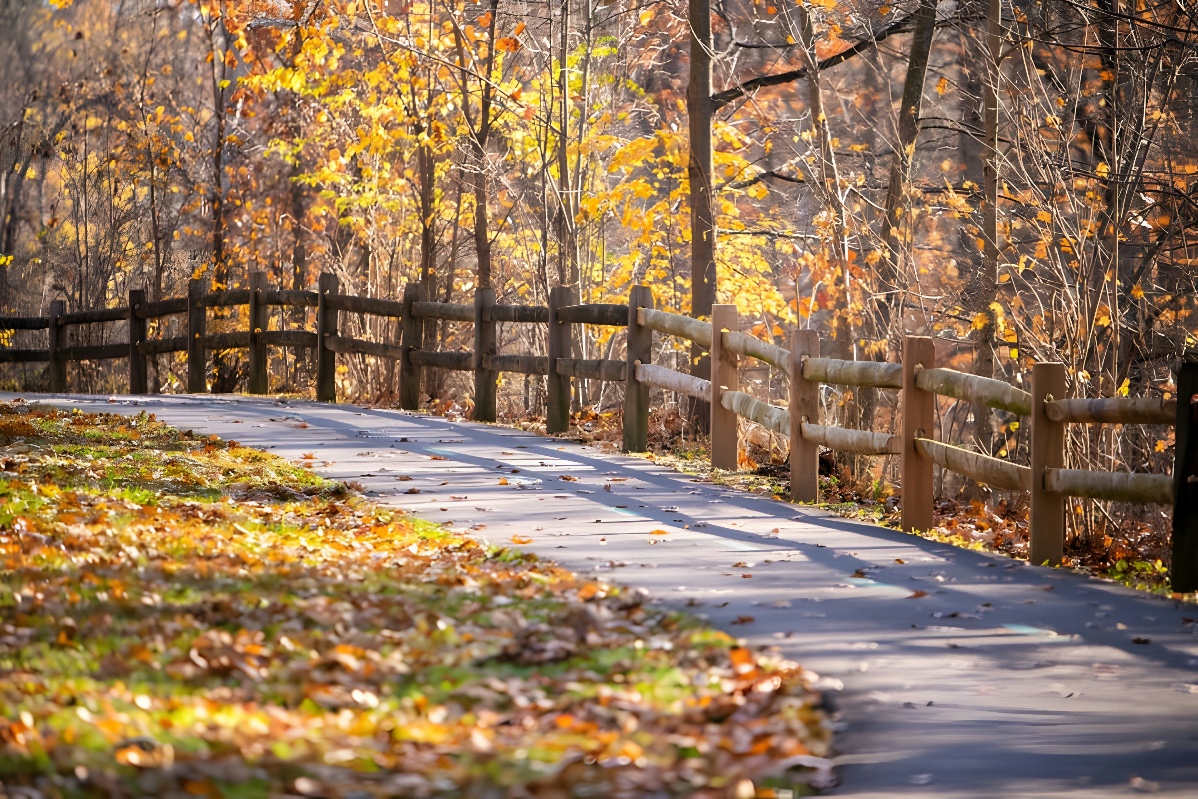 Photo by damiencampbell