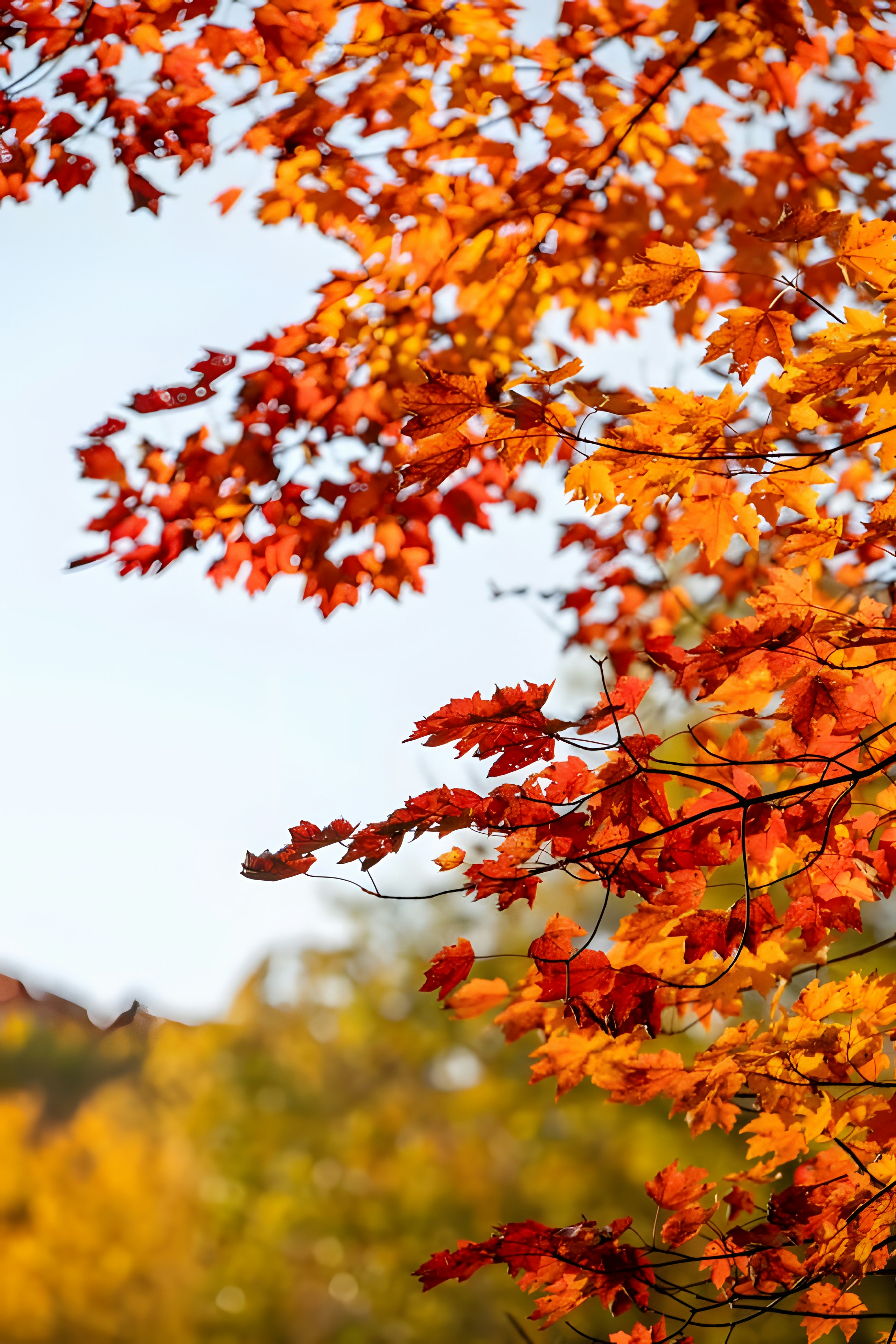 Photo by damiencampbell