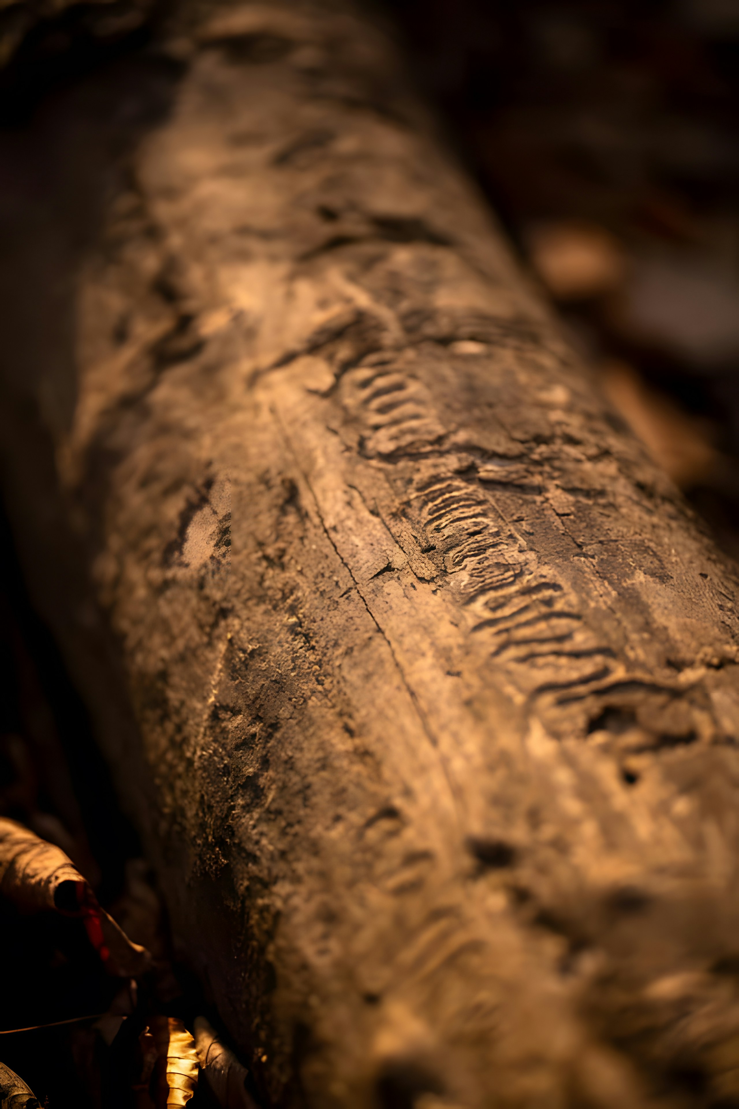 Photo by damiencampbell