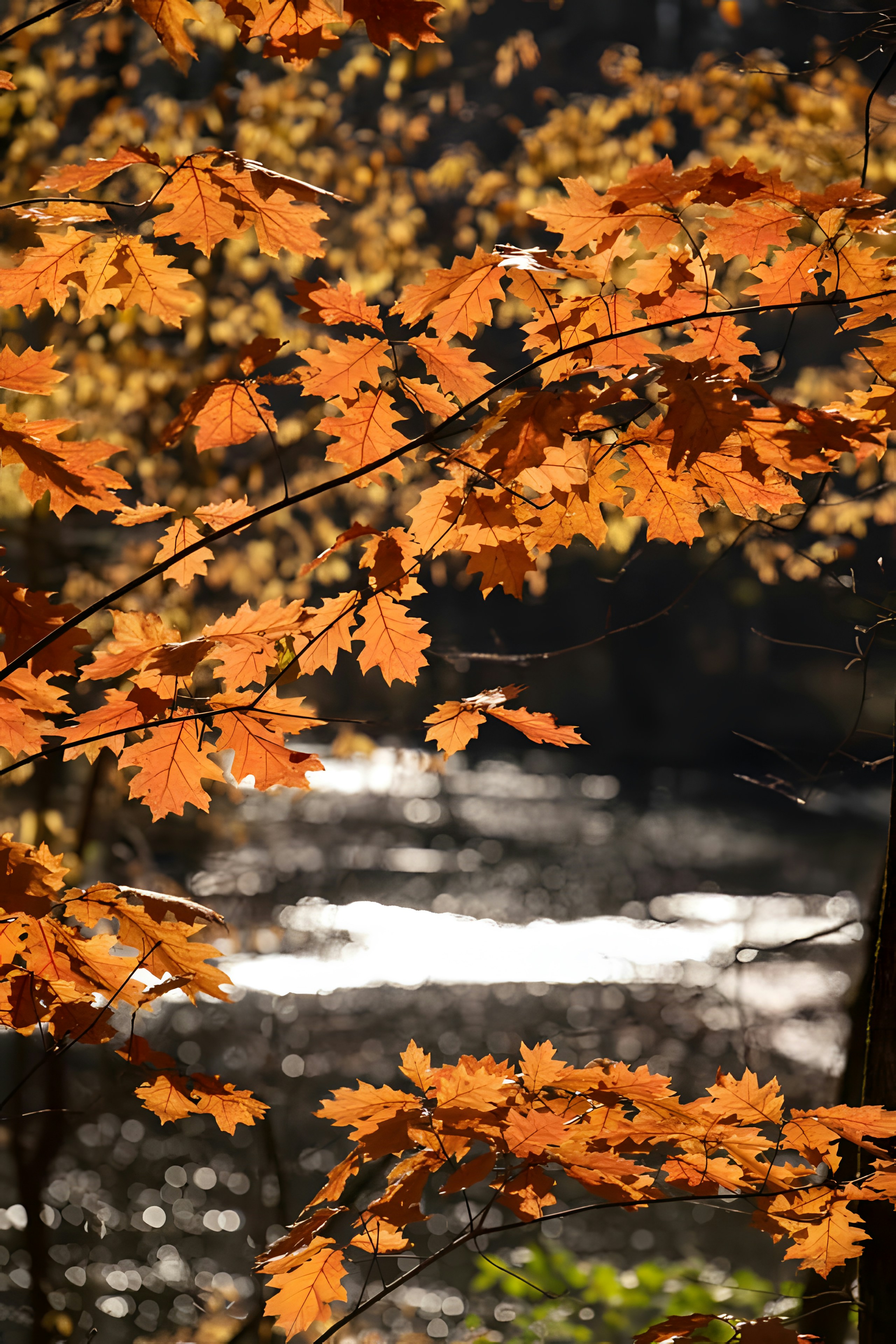 Photo by damiencampbell