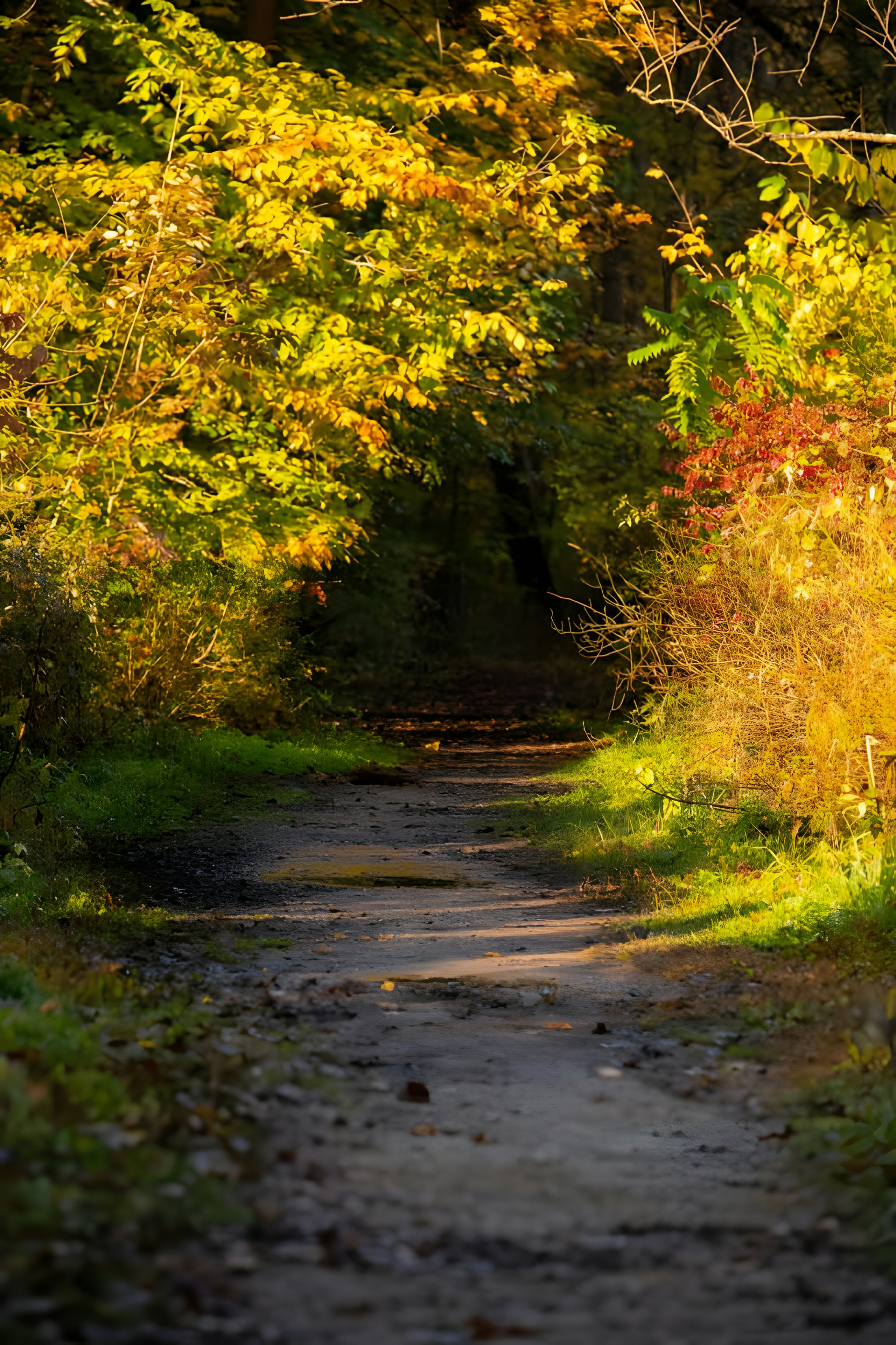 Photo by damiencampbell