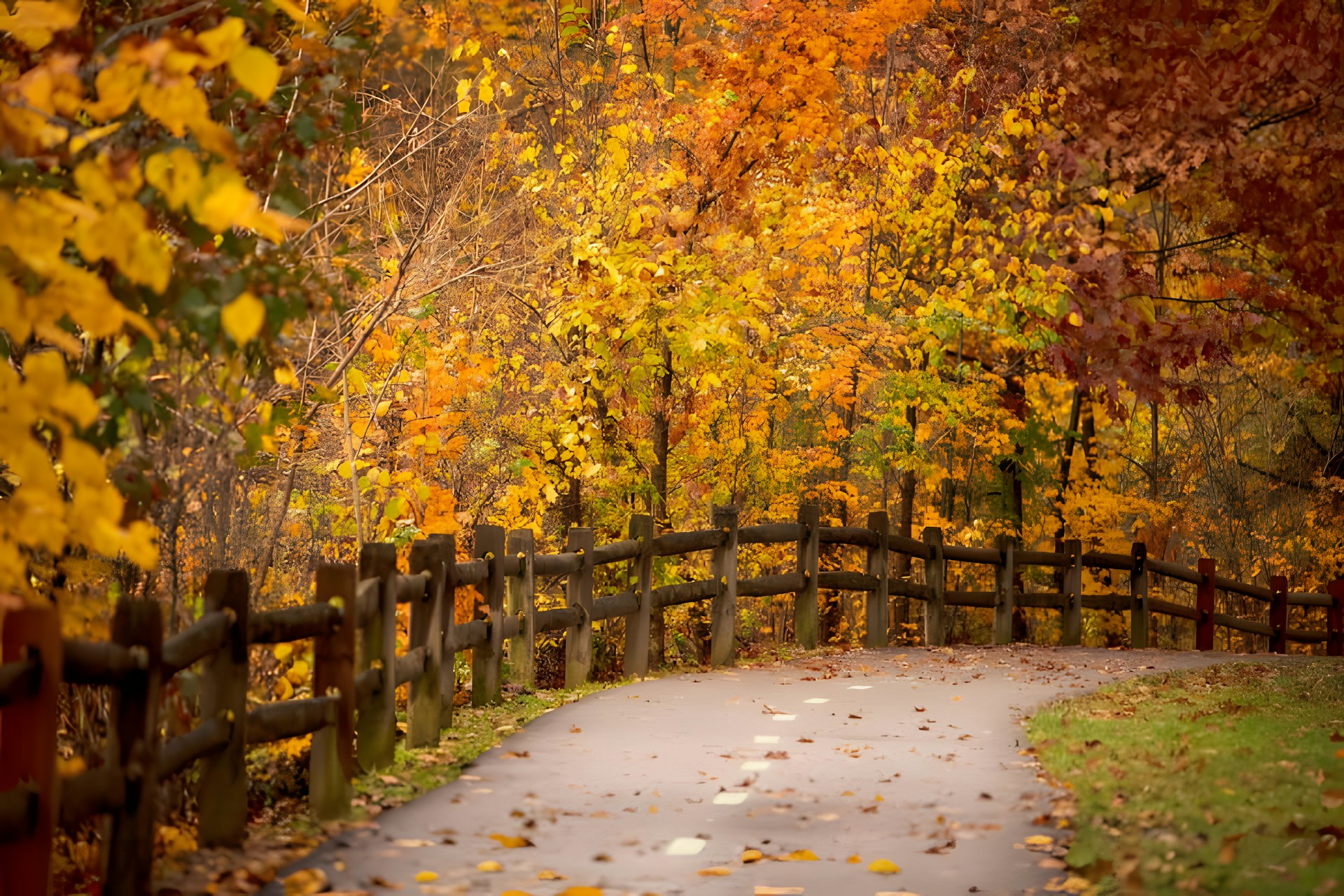 A wooden fence is next to a path in the woods
