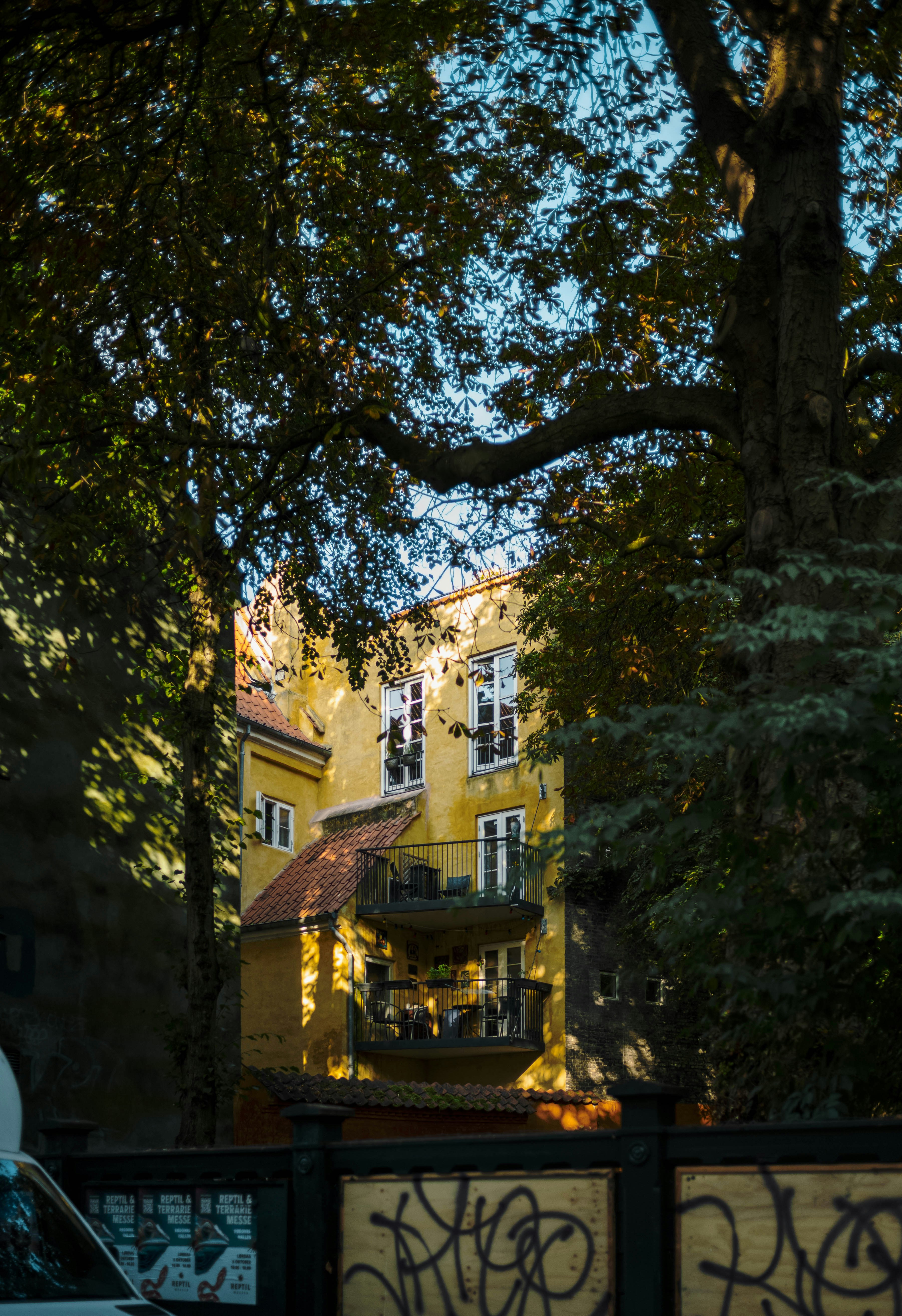 Photo by tommaomaoer