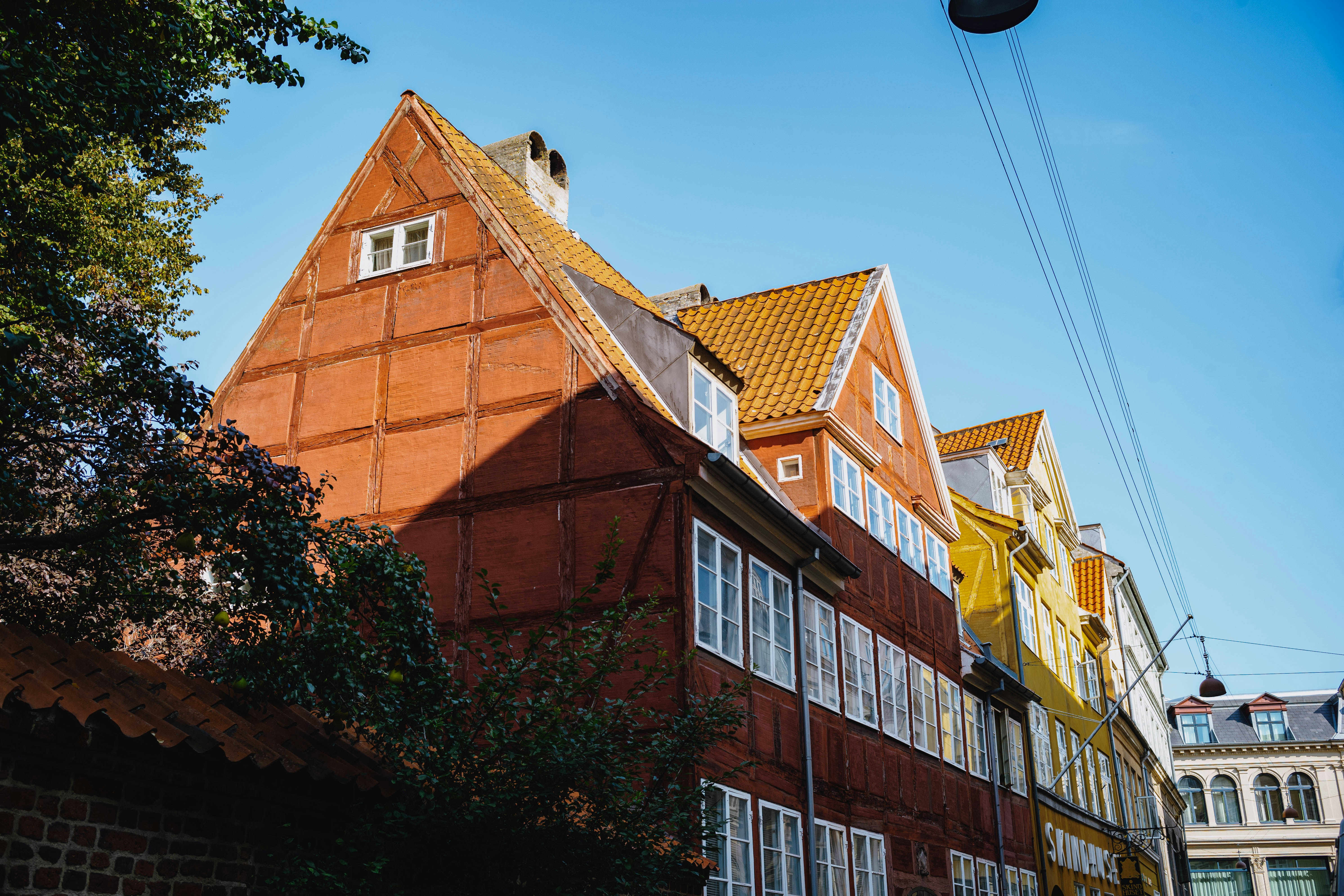 Photo by tommaomaoer