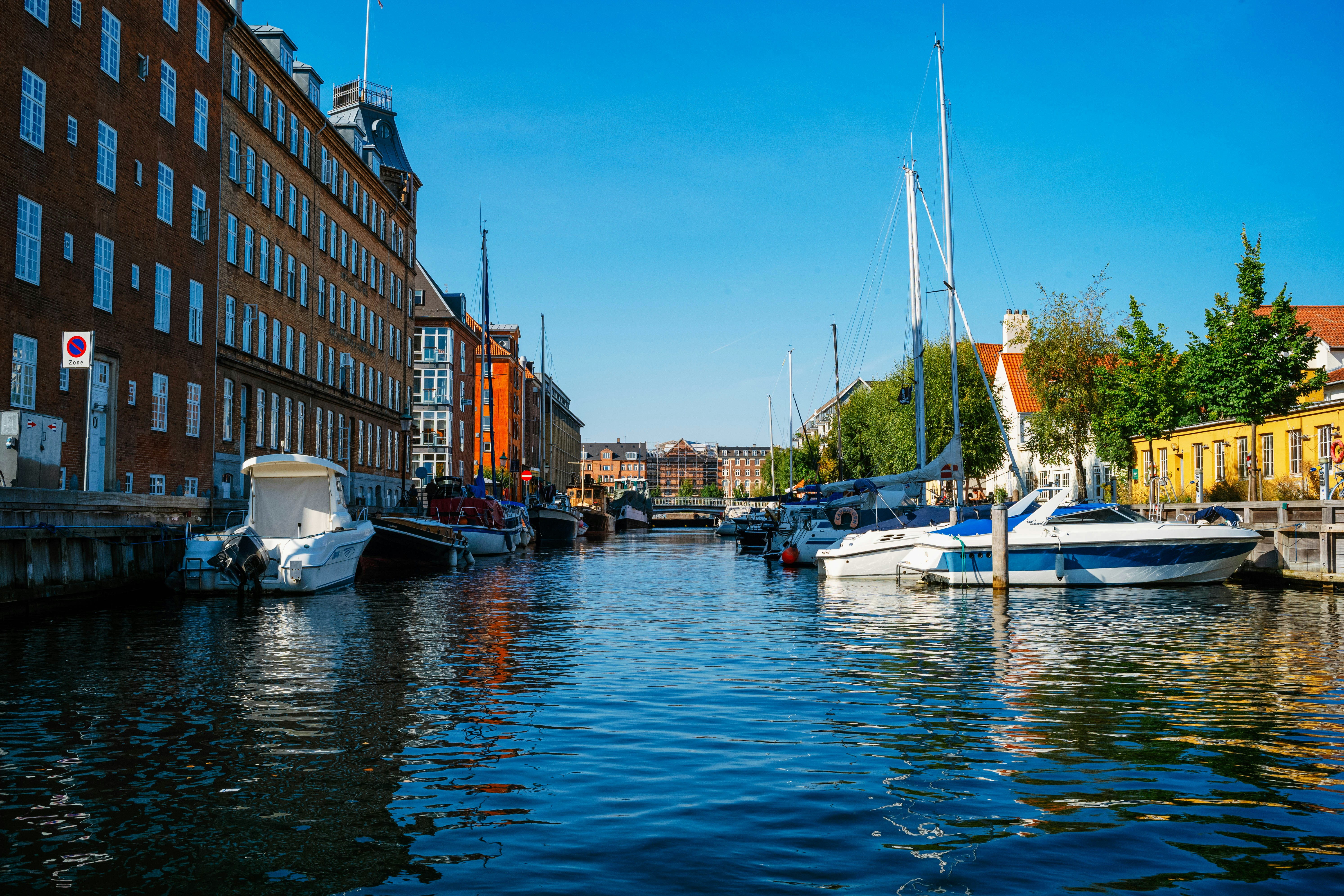 Photo by tommaomaoer