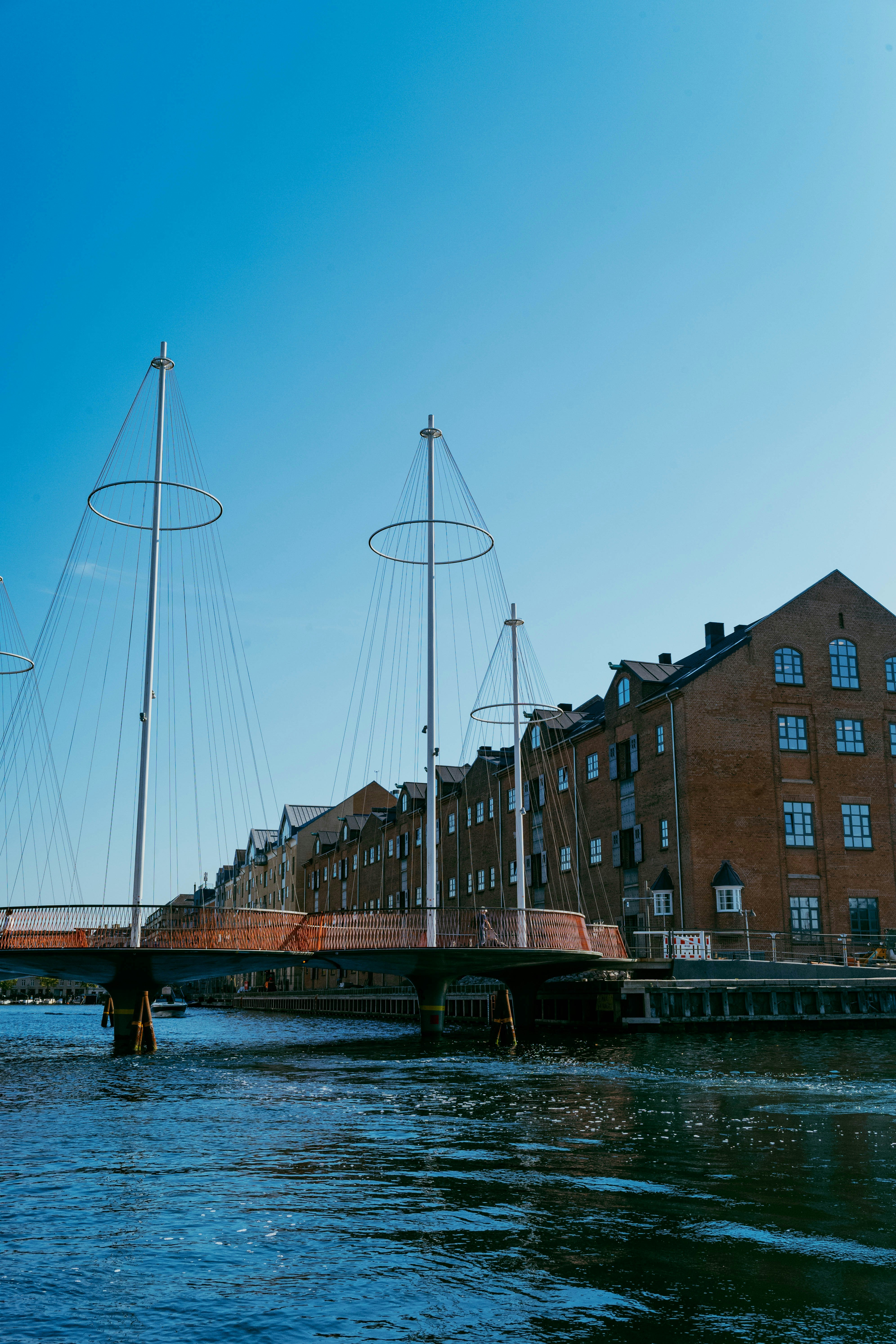 Photo by tommaomaoer