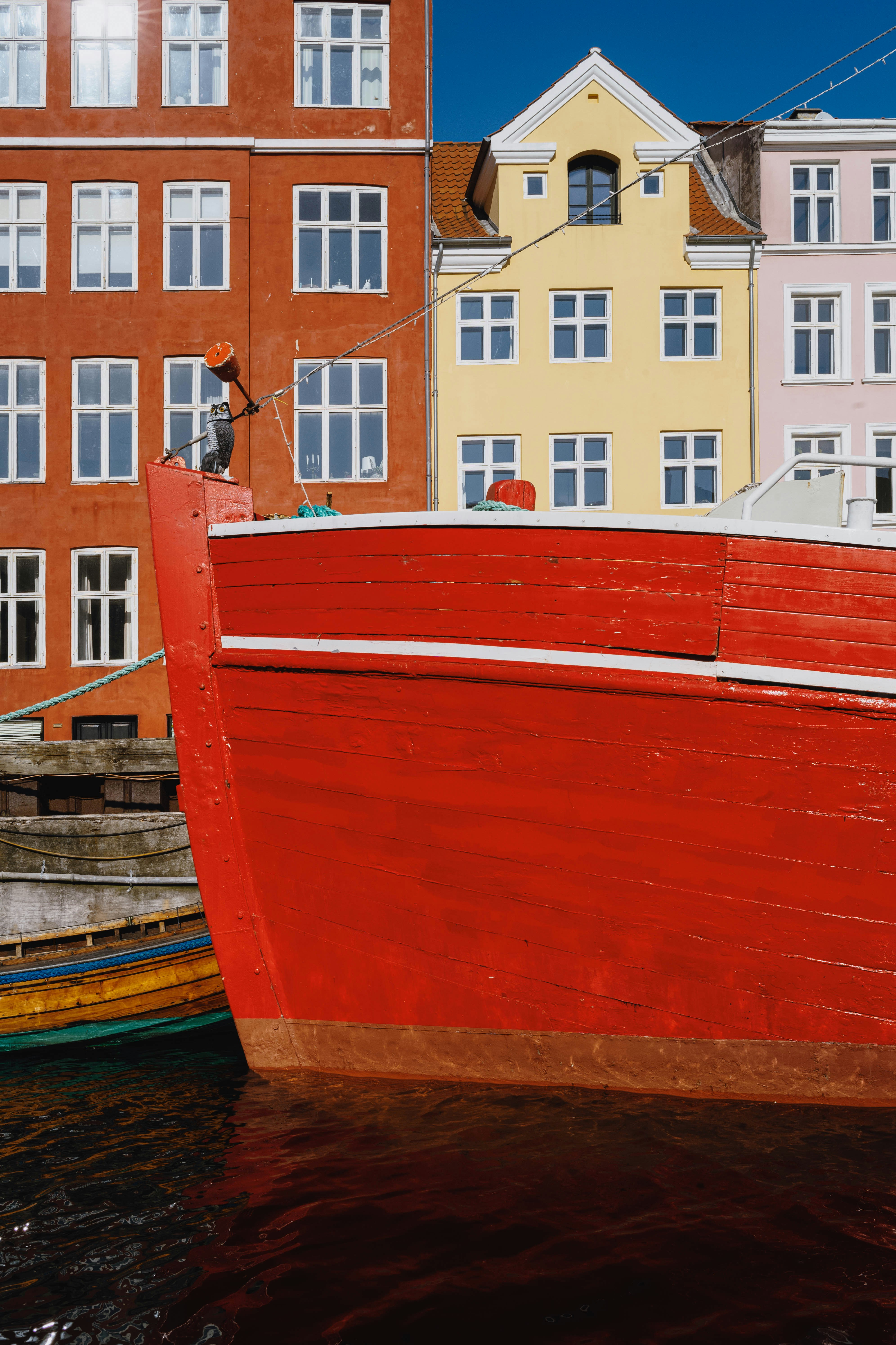 Photo by tommaomaoer