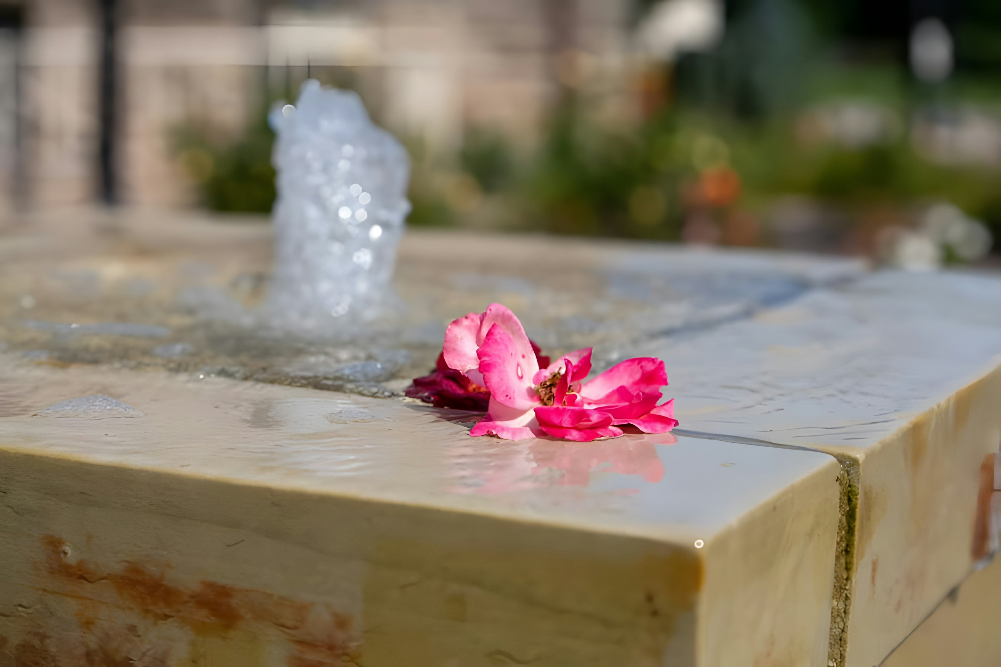Flower Garden Design Pictures | Download Free Images on Unsplash