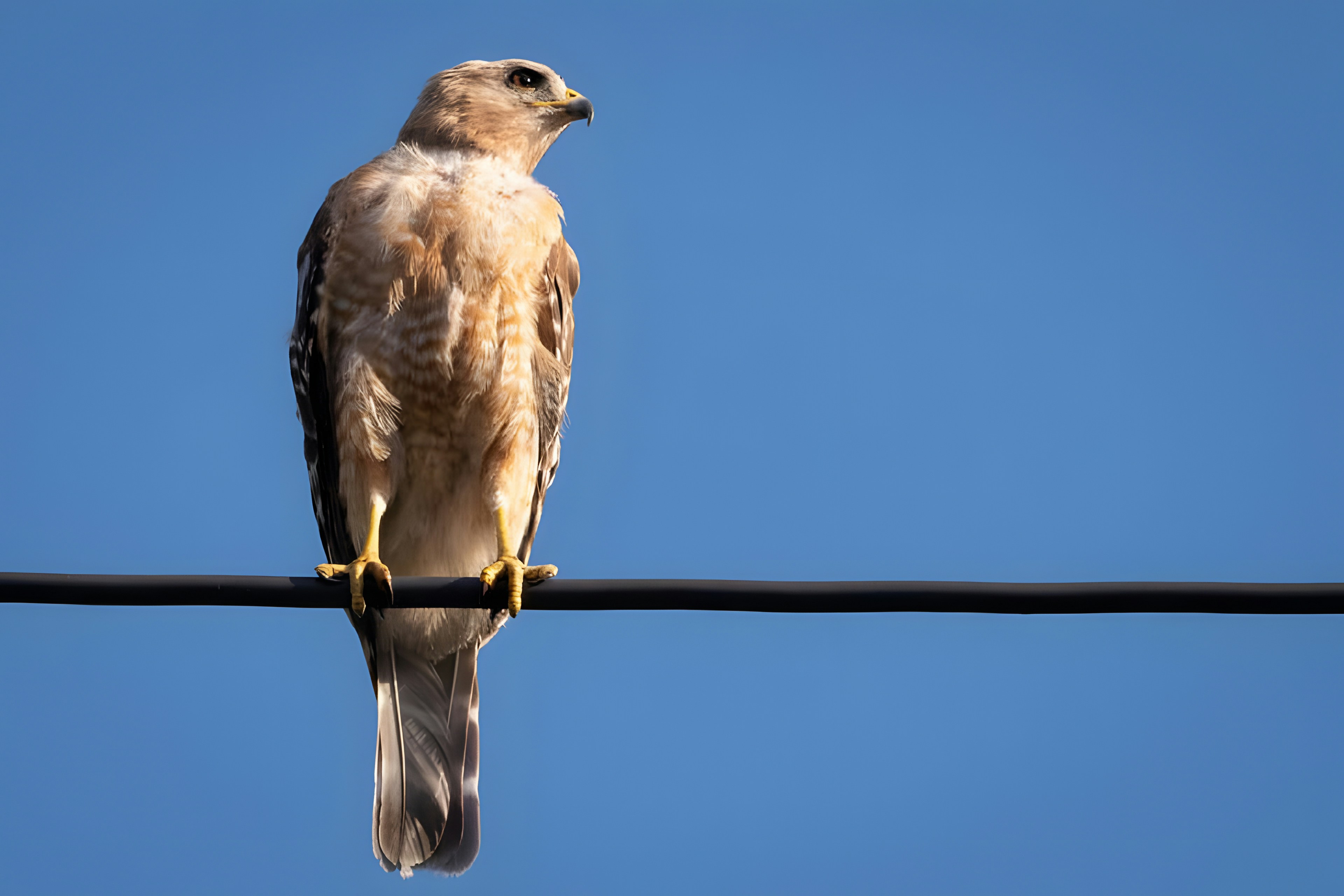 Photo by damiencampbell