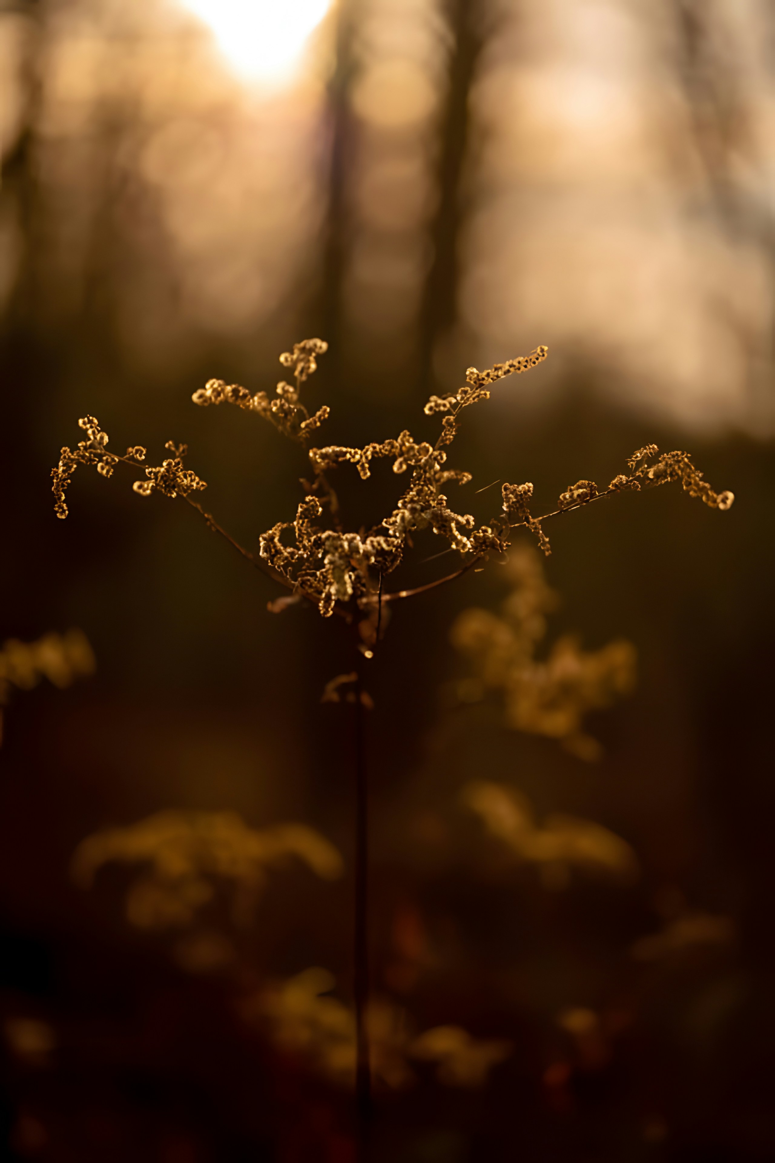 Photo by damiencampbell