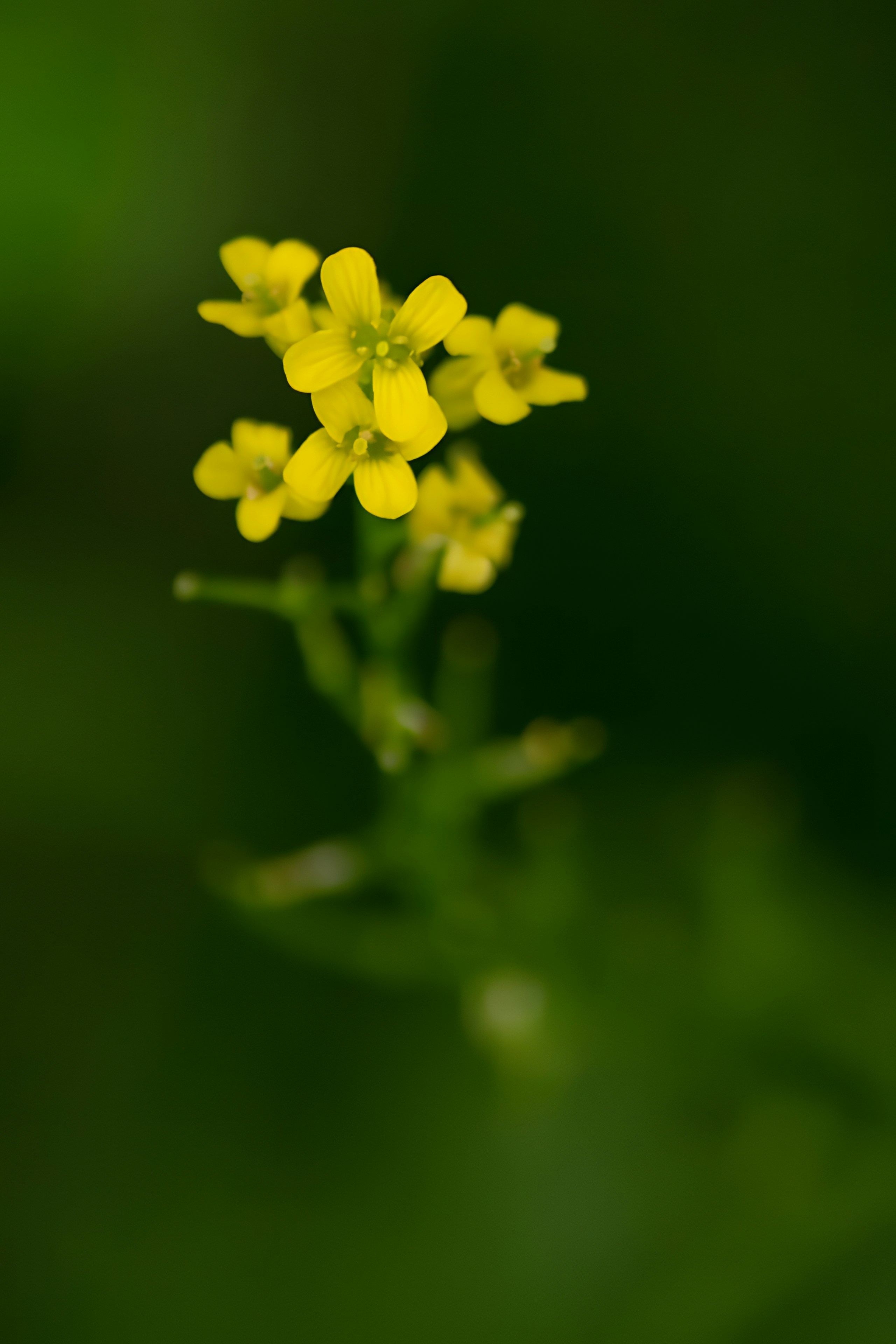 Photo by damiencampbell