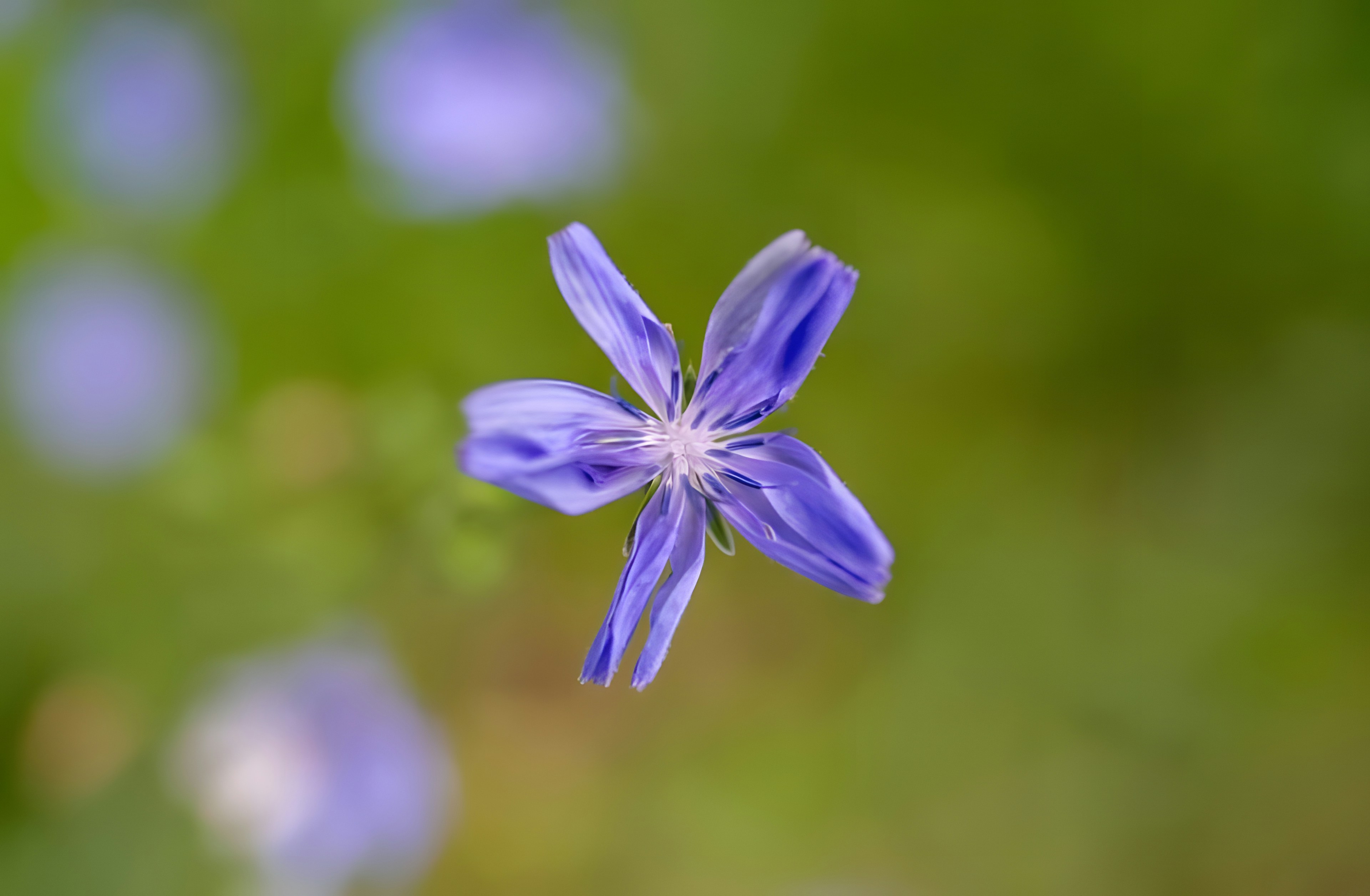 Photo by damiencampbell