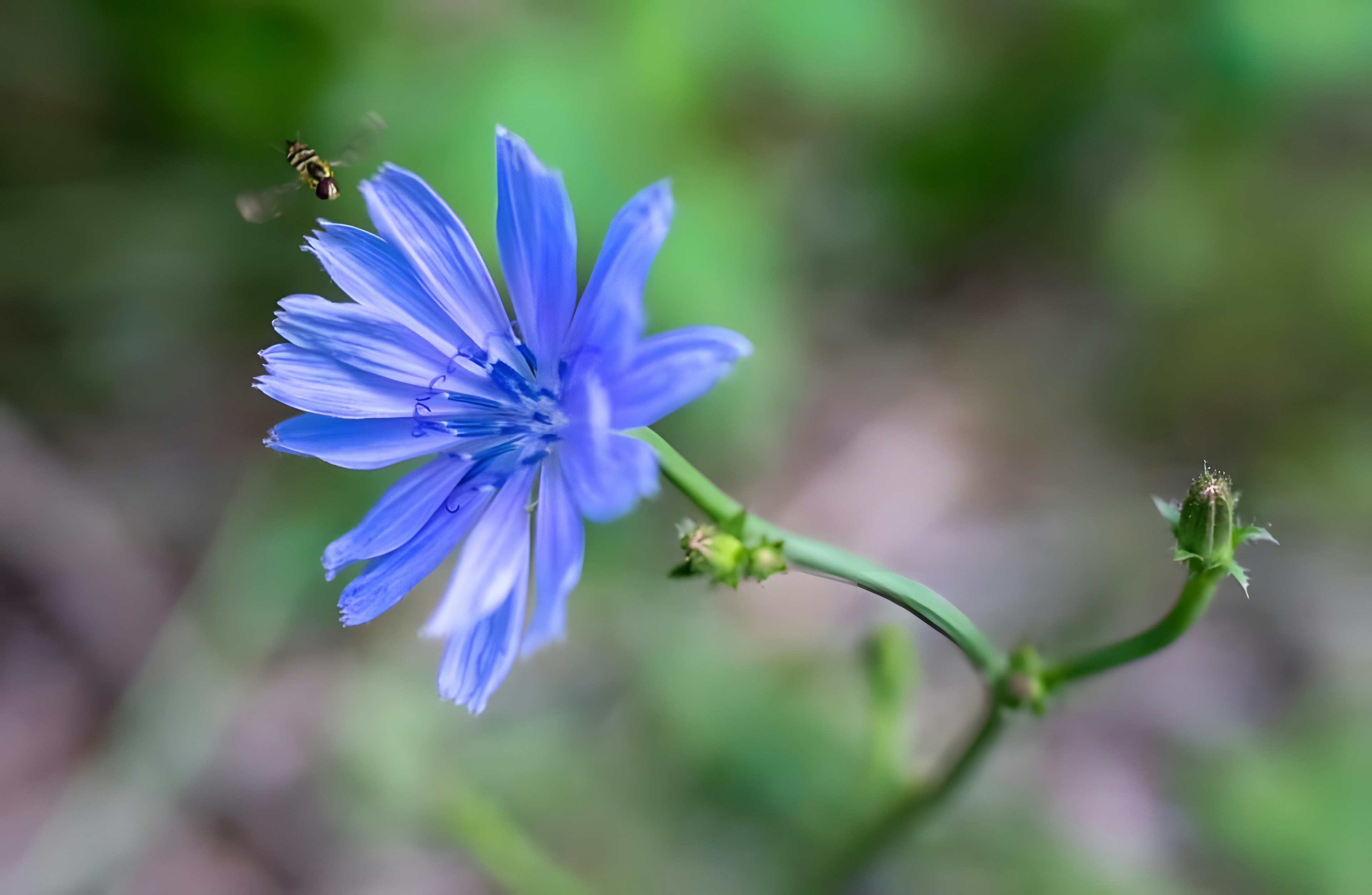 Photo by damiencampbell