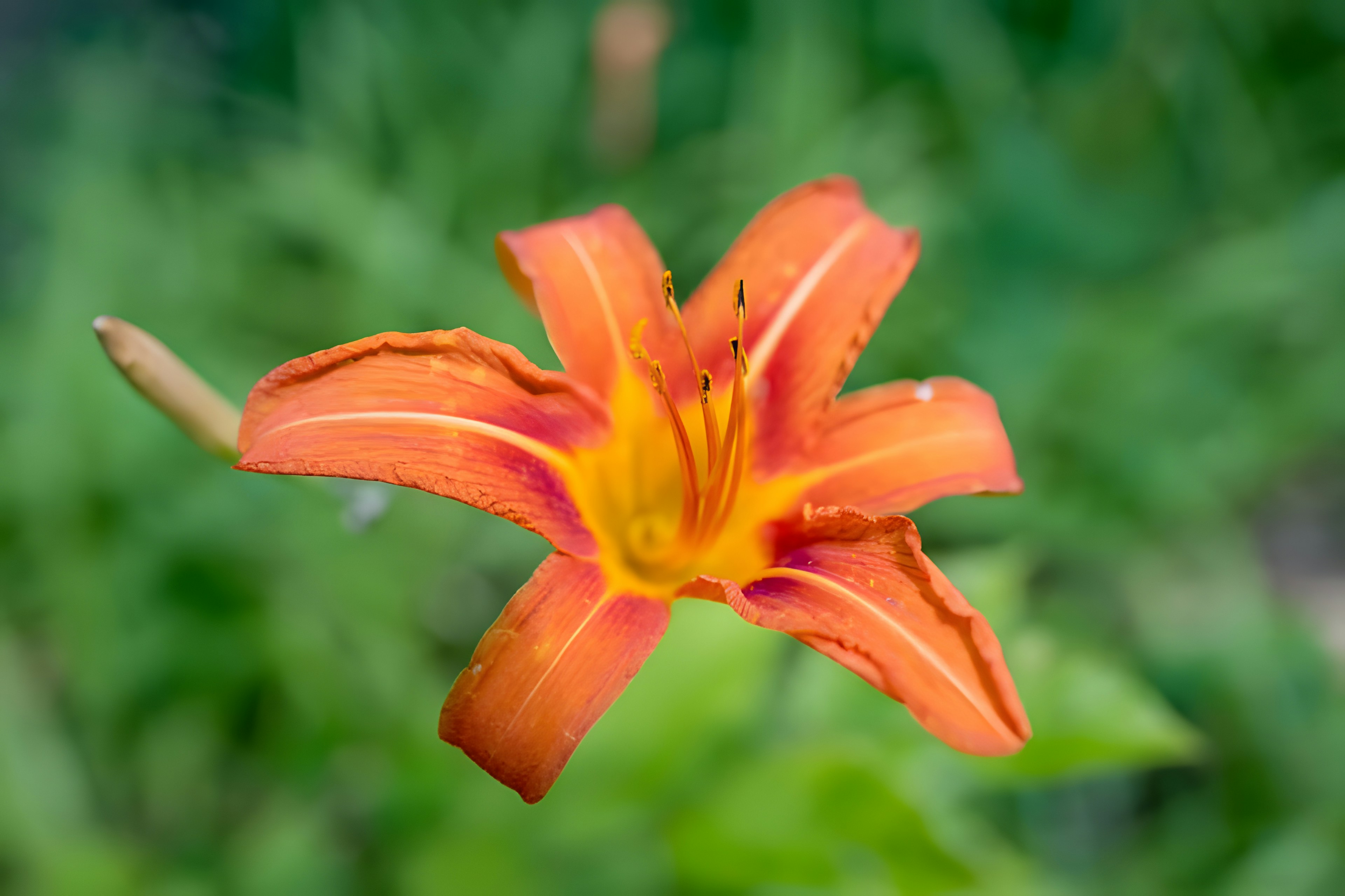 Photo by damiencampbell