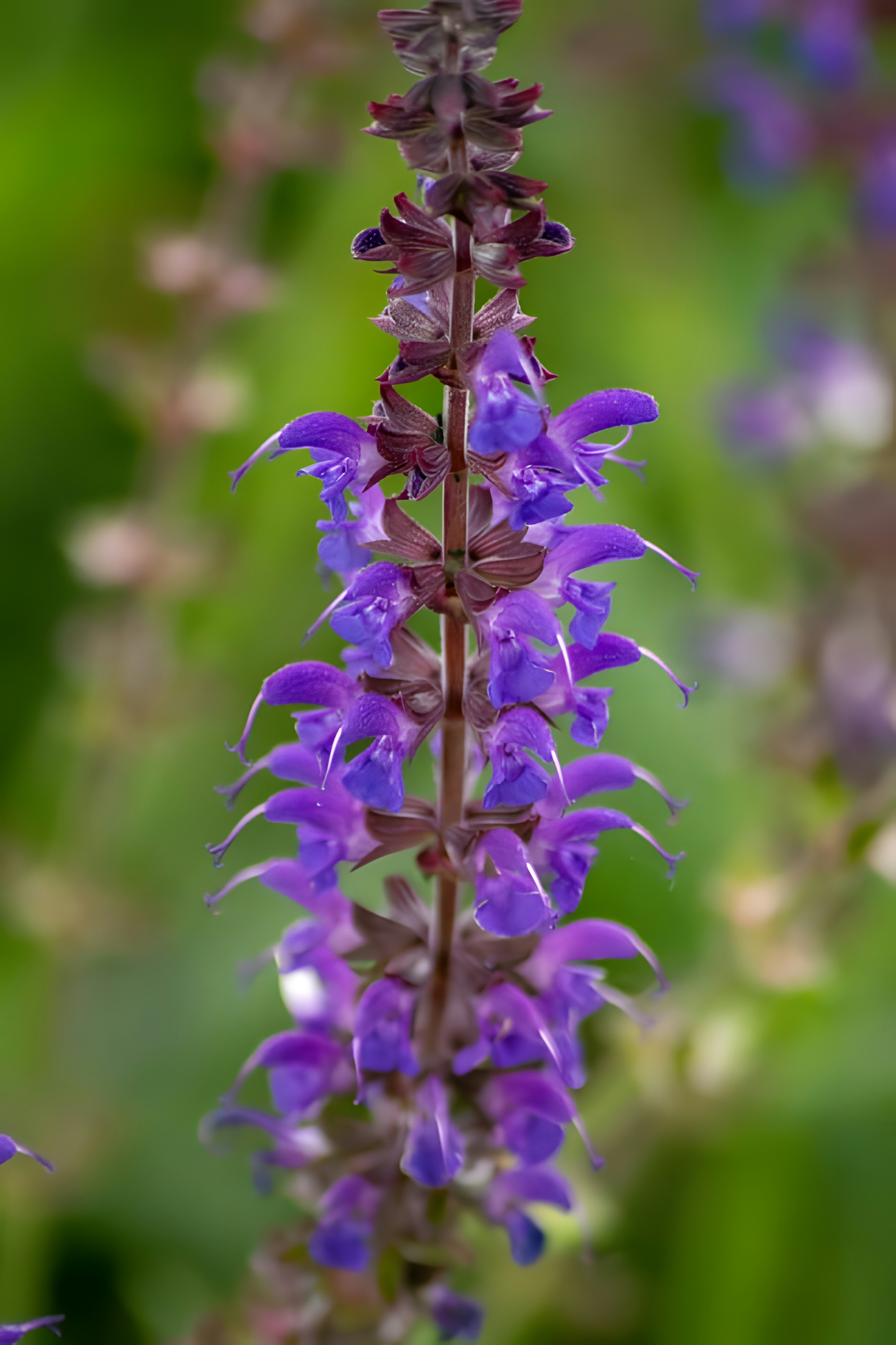 Photo by damiencampbell