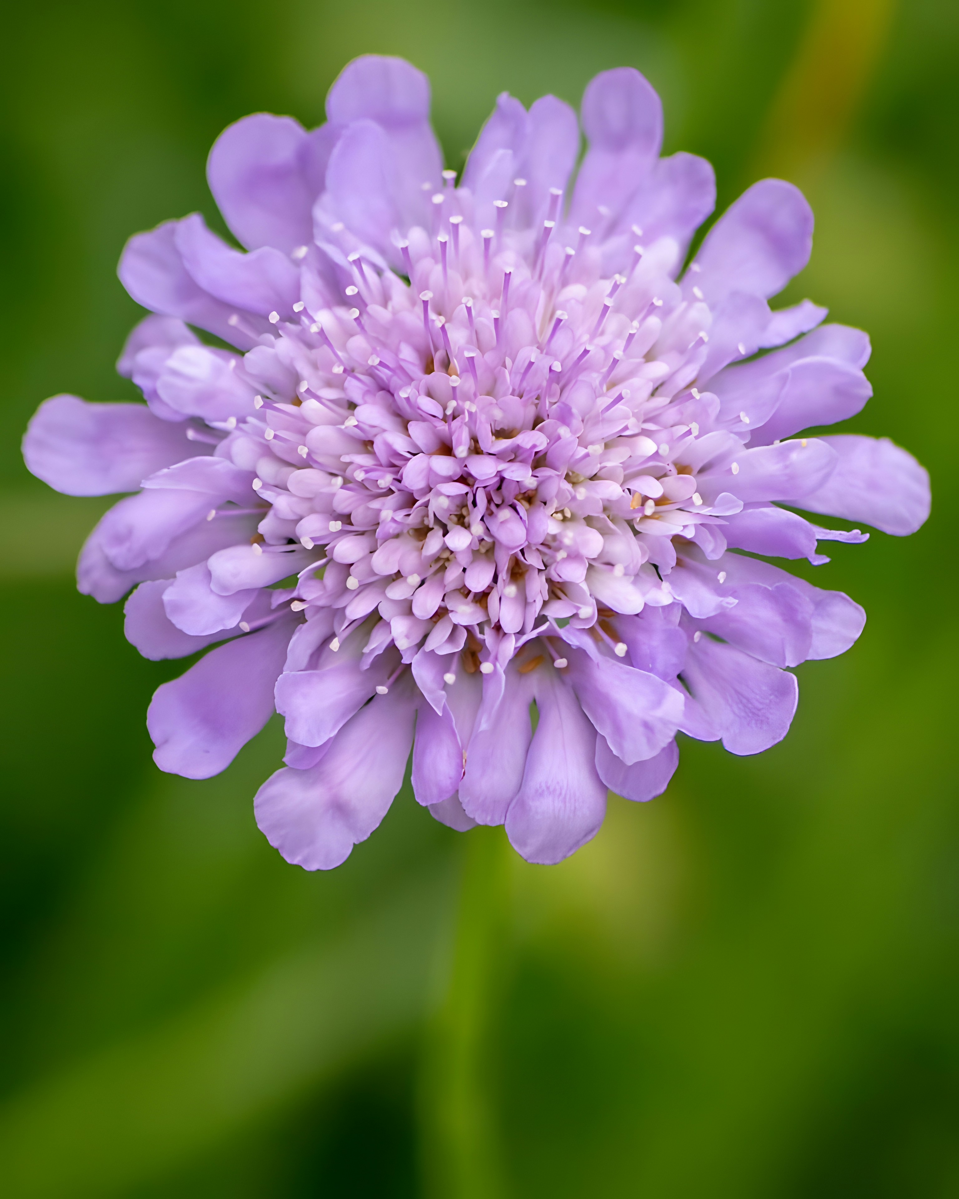 Photo by damiencampbell