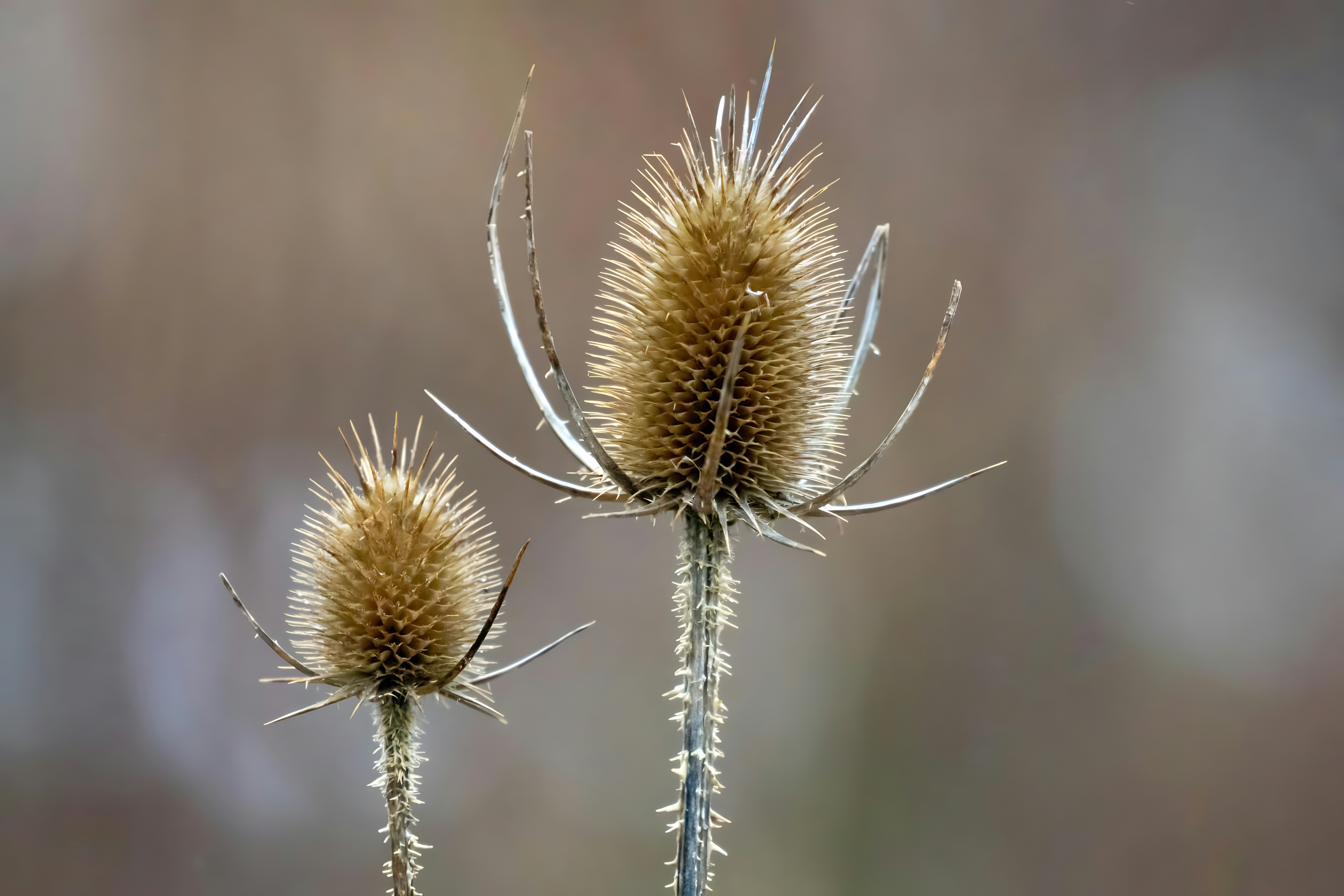 Photo by damiencampbell