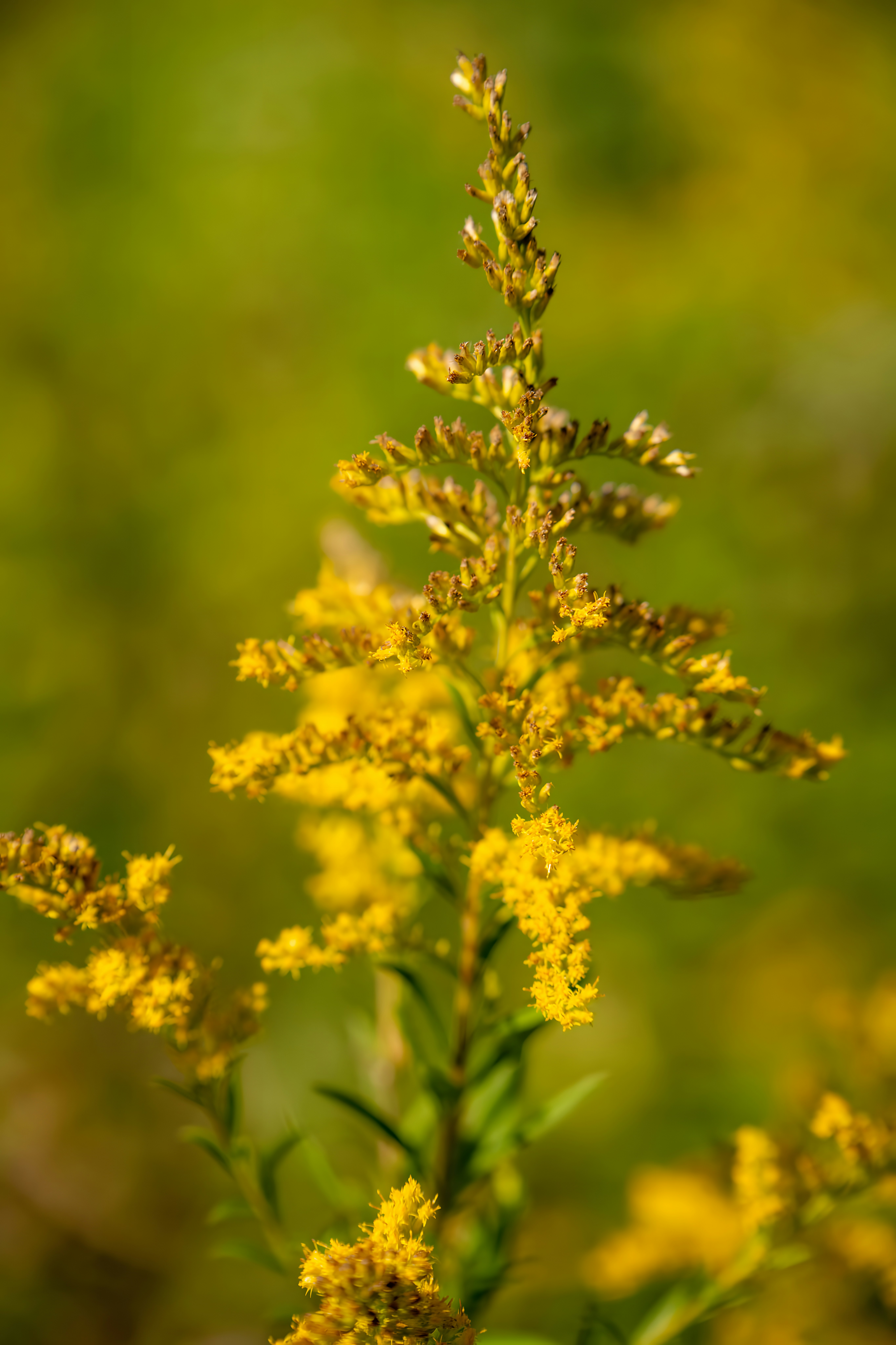 Photo by damiencampbell