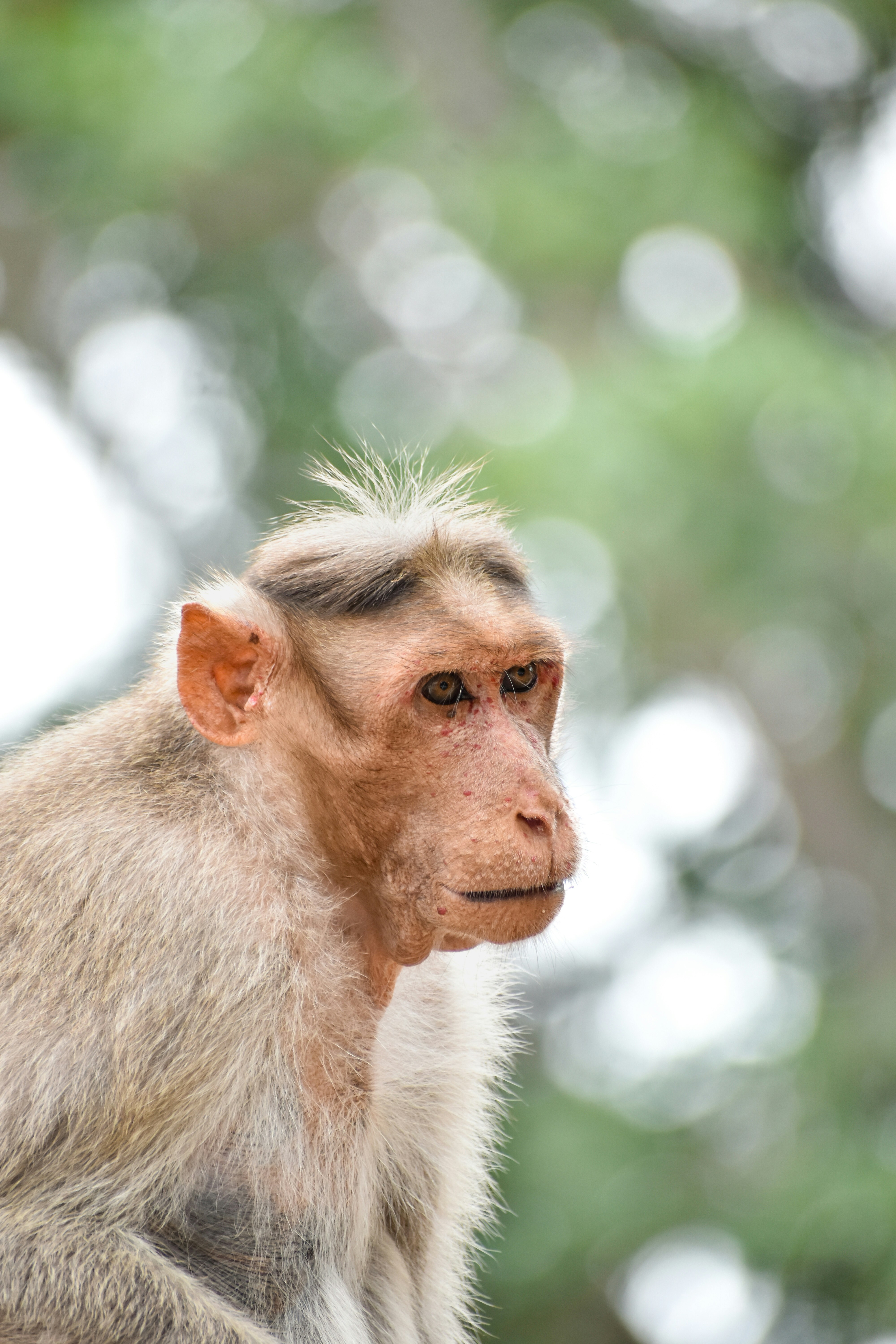 Photo by hacker_camerwork