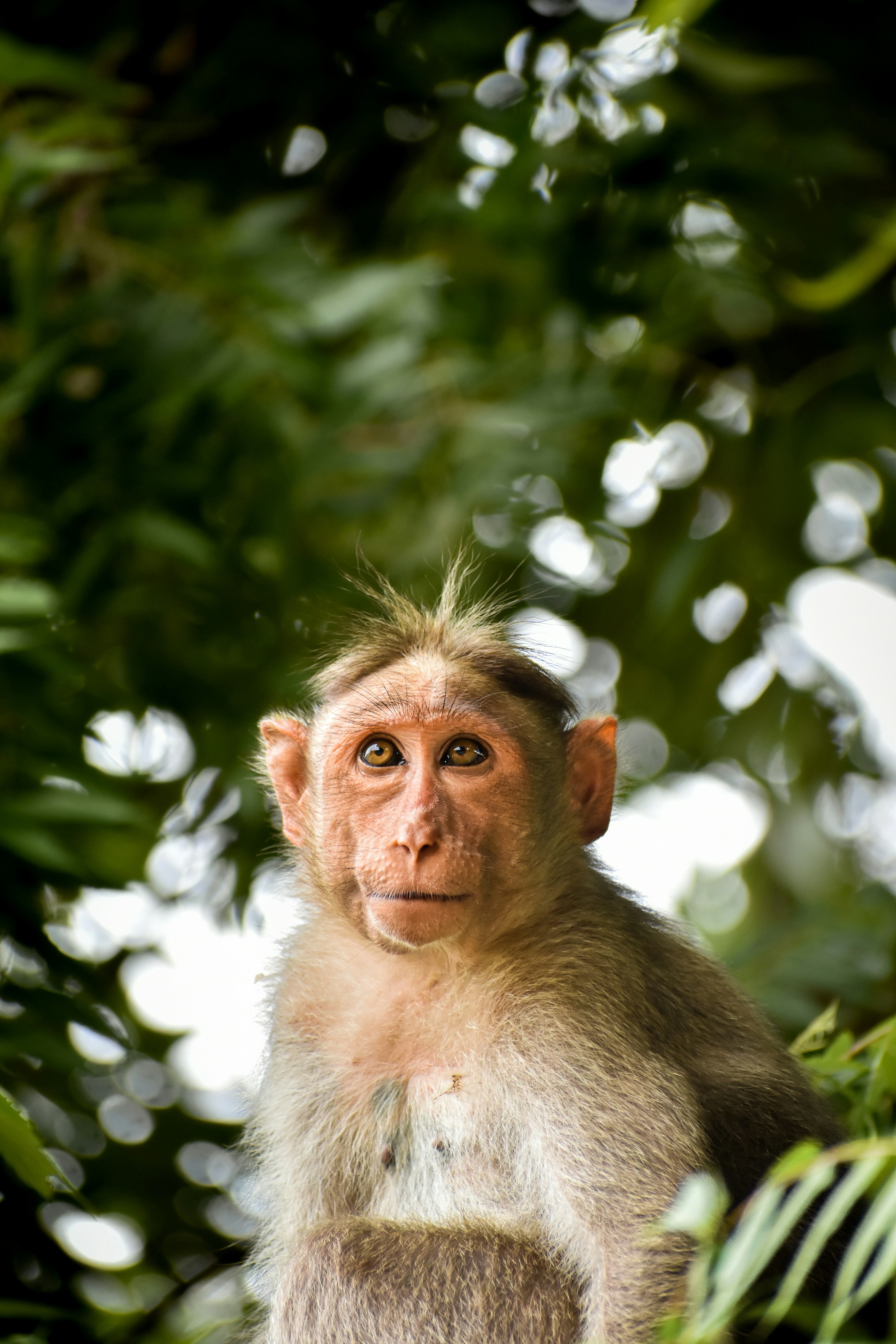 Photo by hacker_camerwork