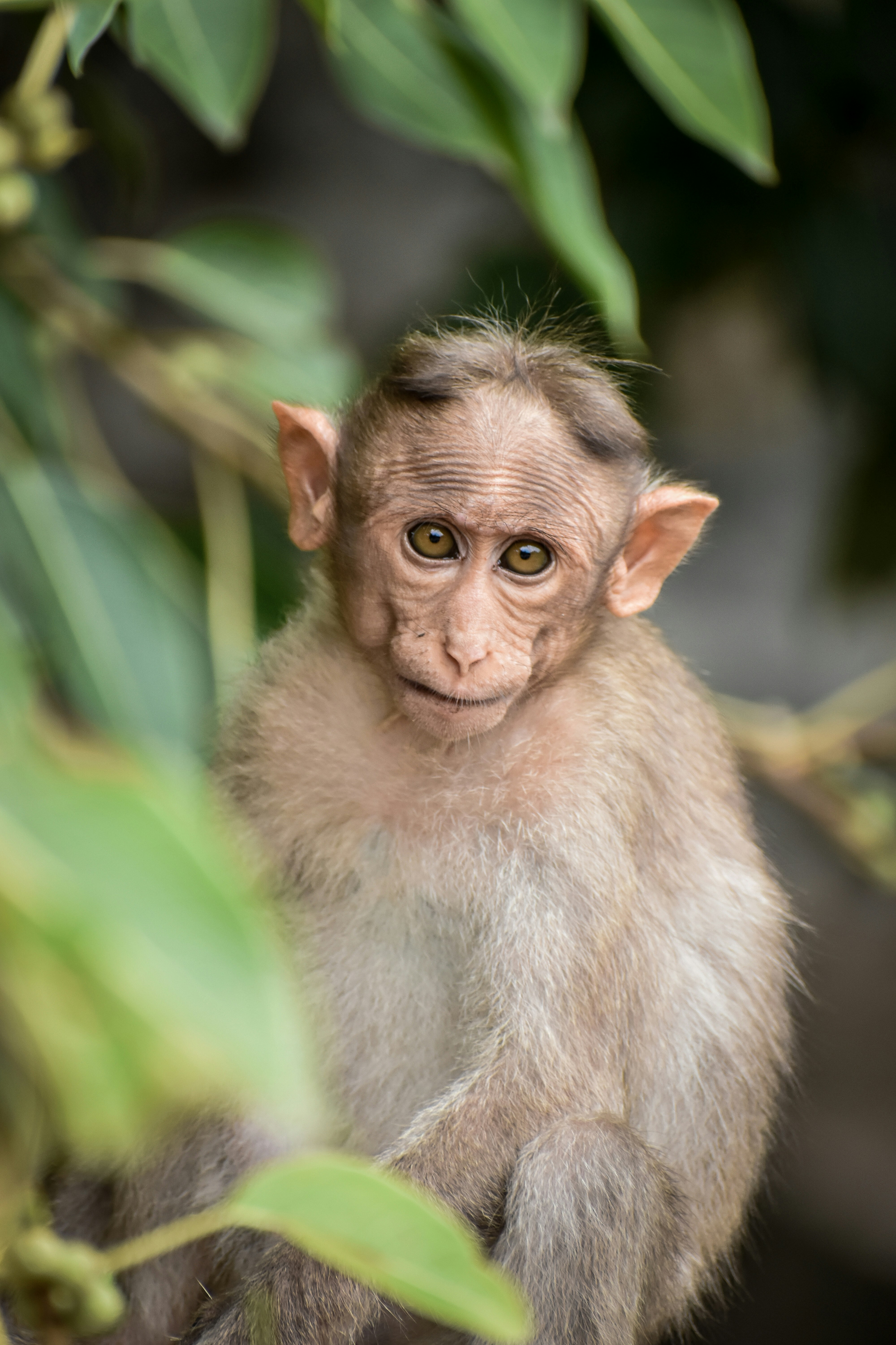 Photo by hacker_camerwork