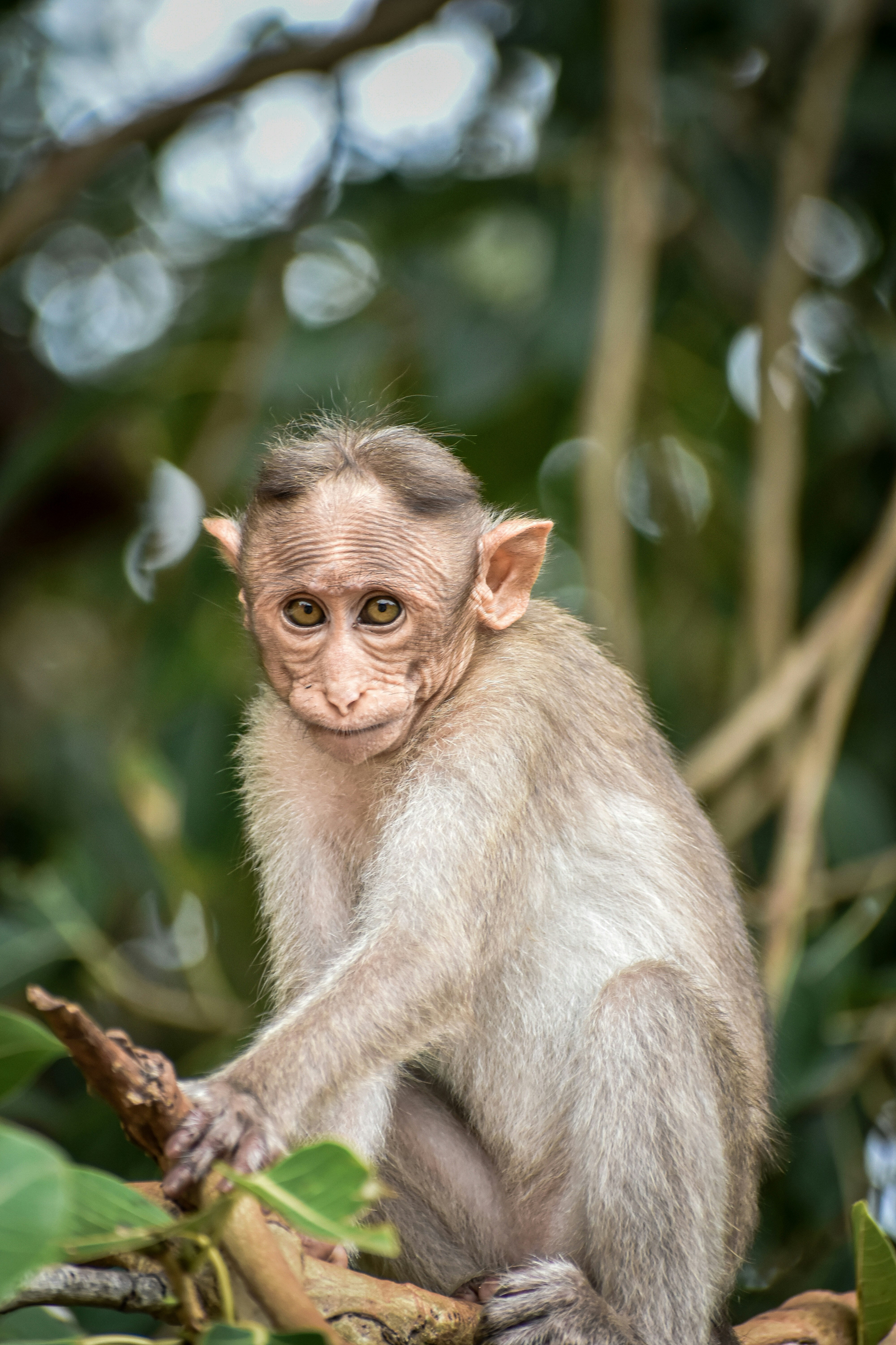 Photo by hacker_camerwork