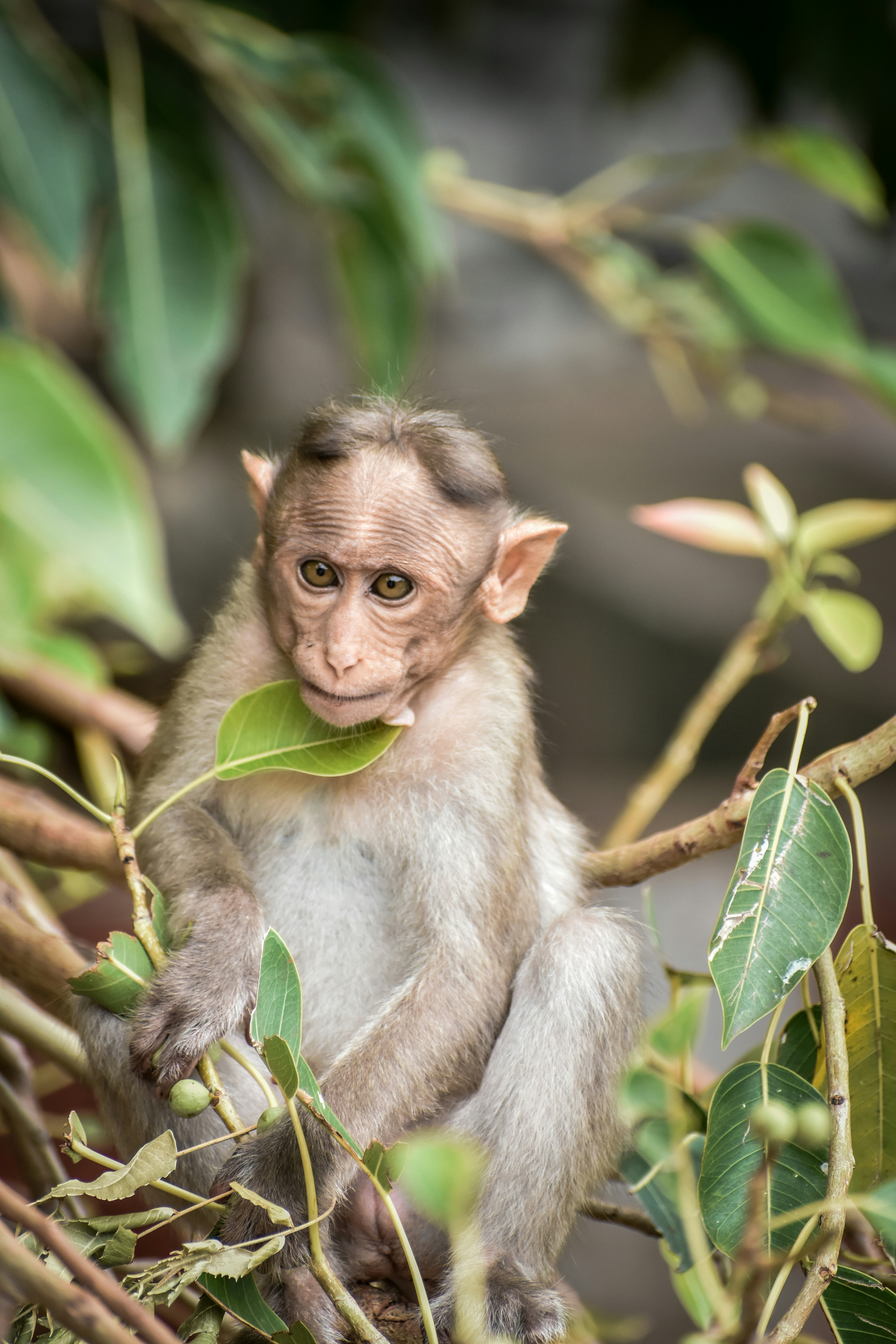 Photo by hacker_camerwork