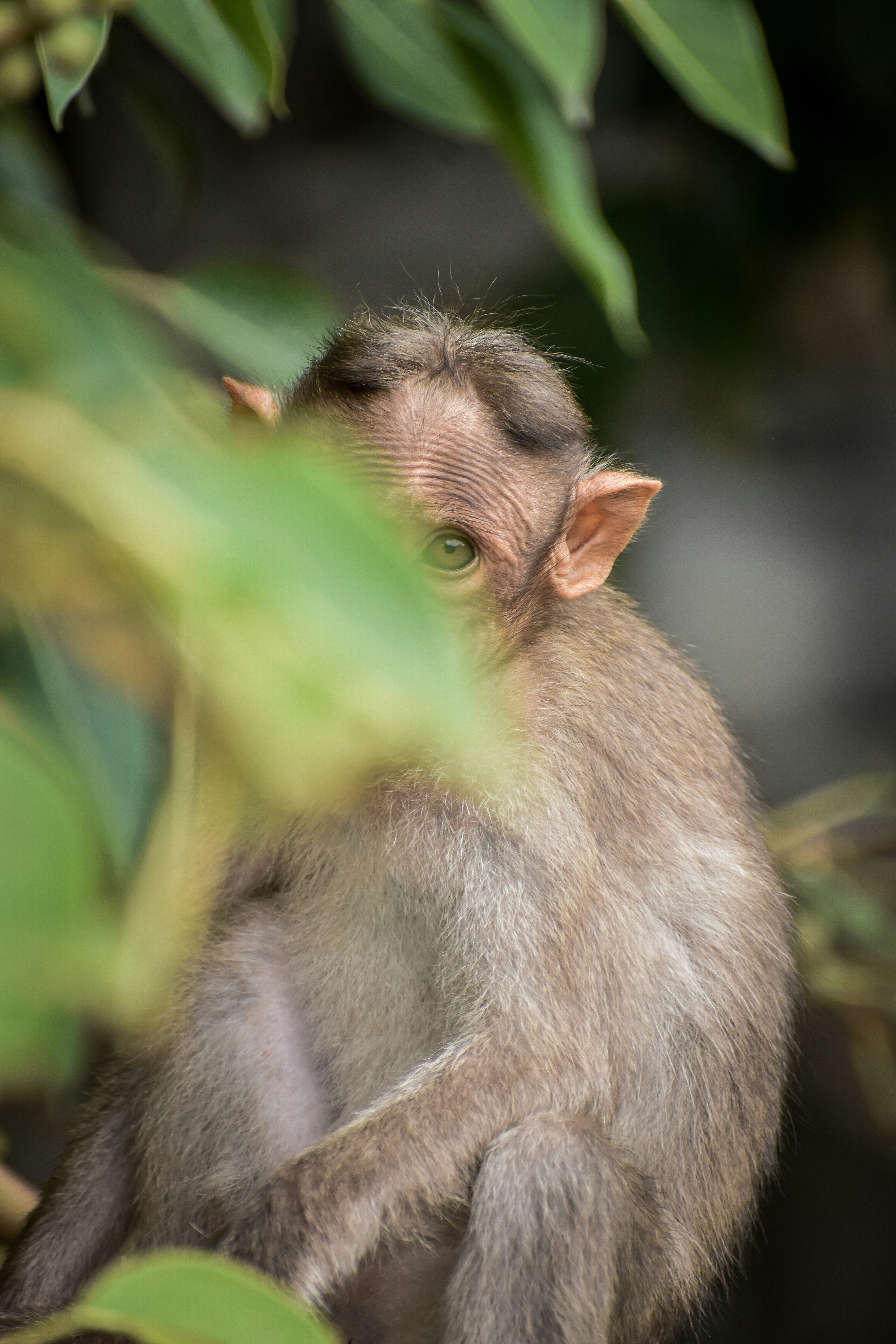 Photo by hacker_camerwork