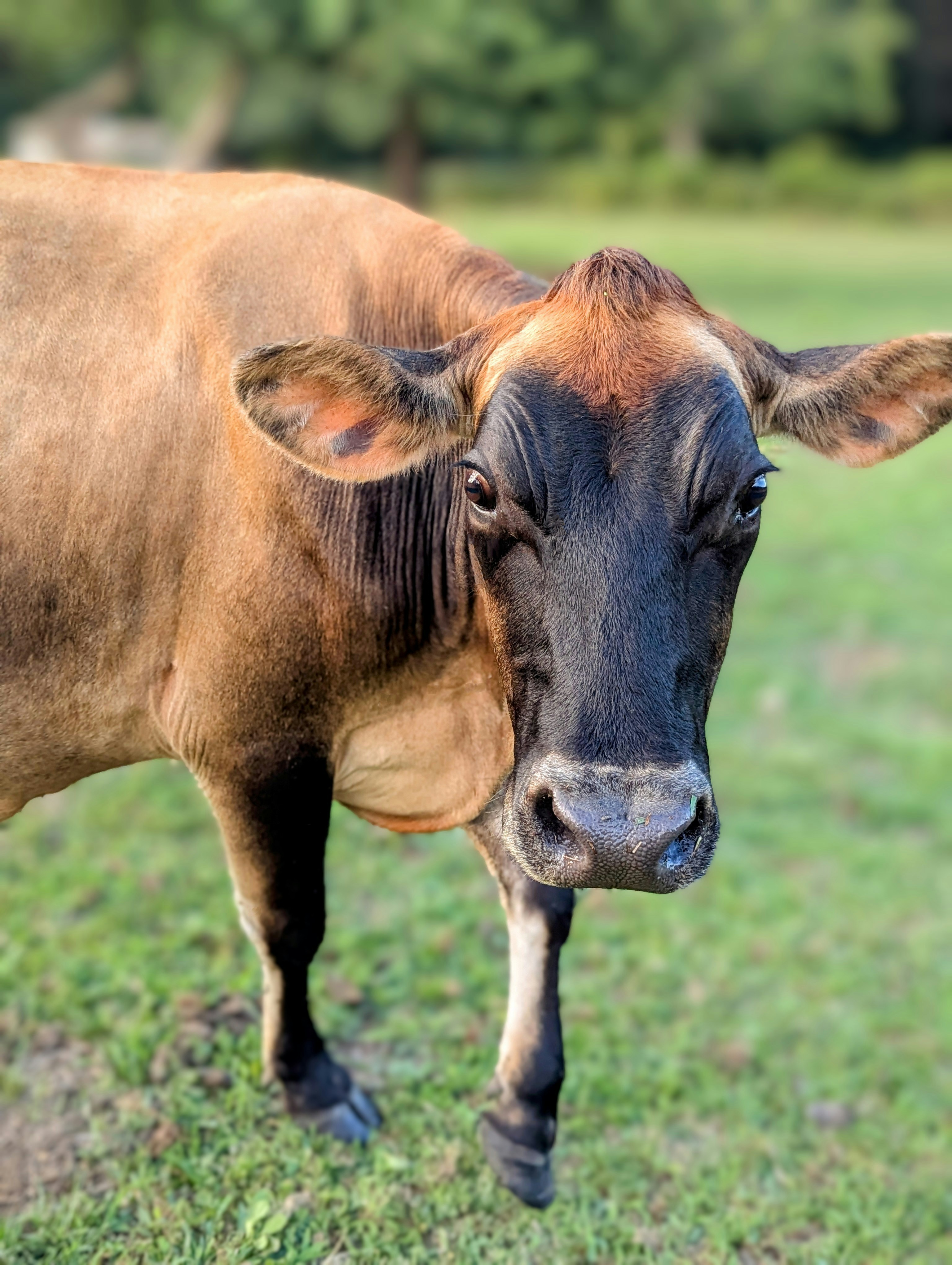 Photo by muddytoesfarm_llc