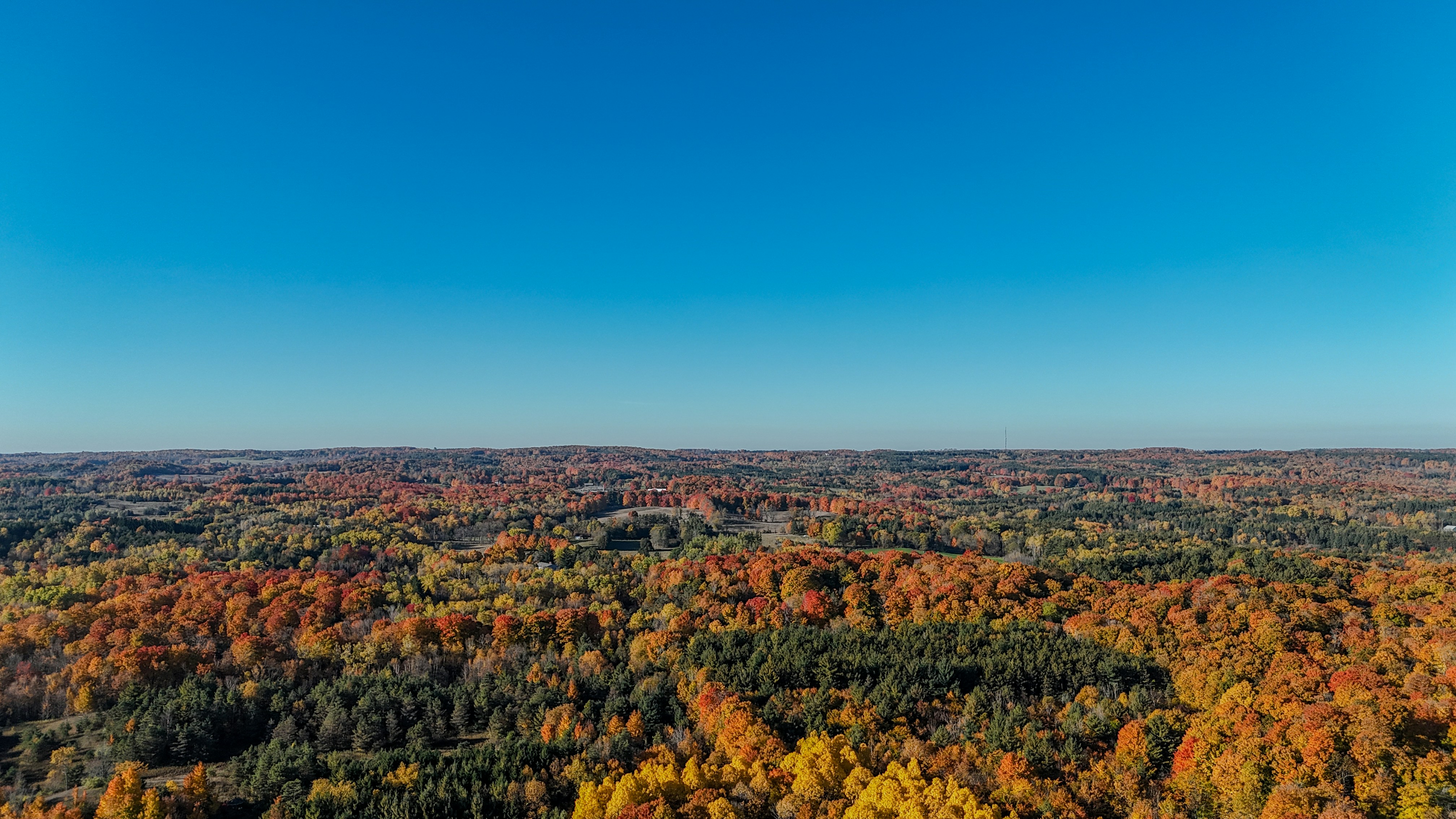 Photo by panjabseyon