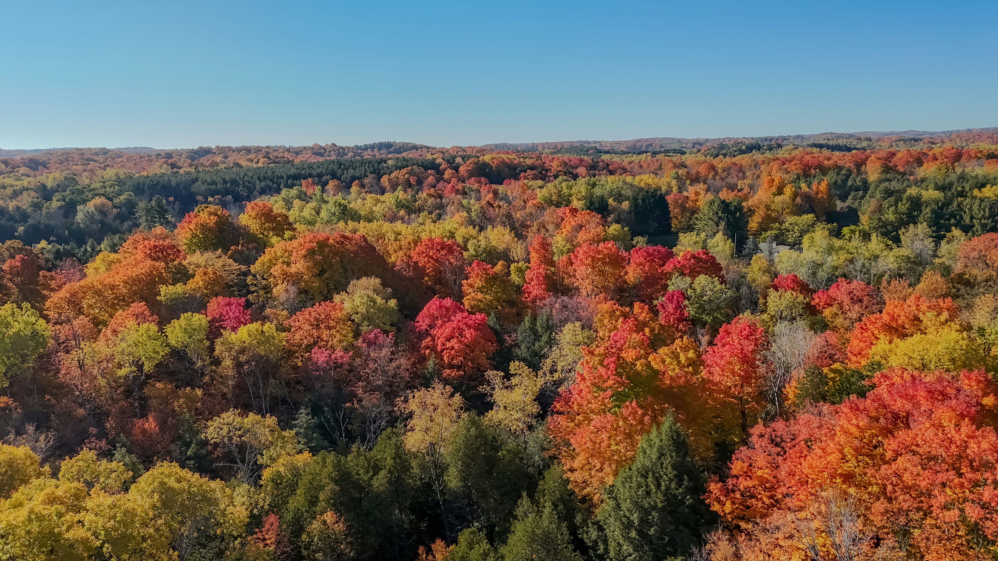 Photo by panjabseyon