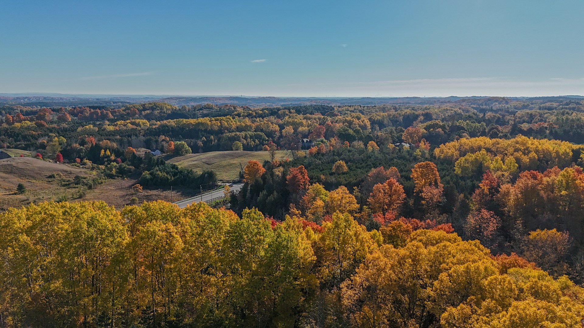 An aerial view of a forest with lots of trees